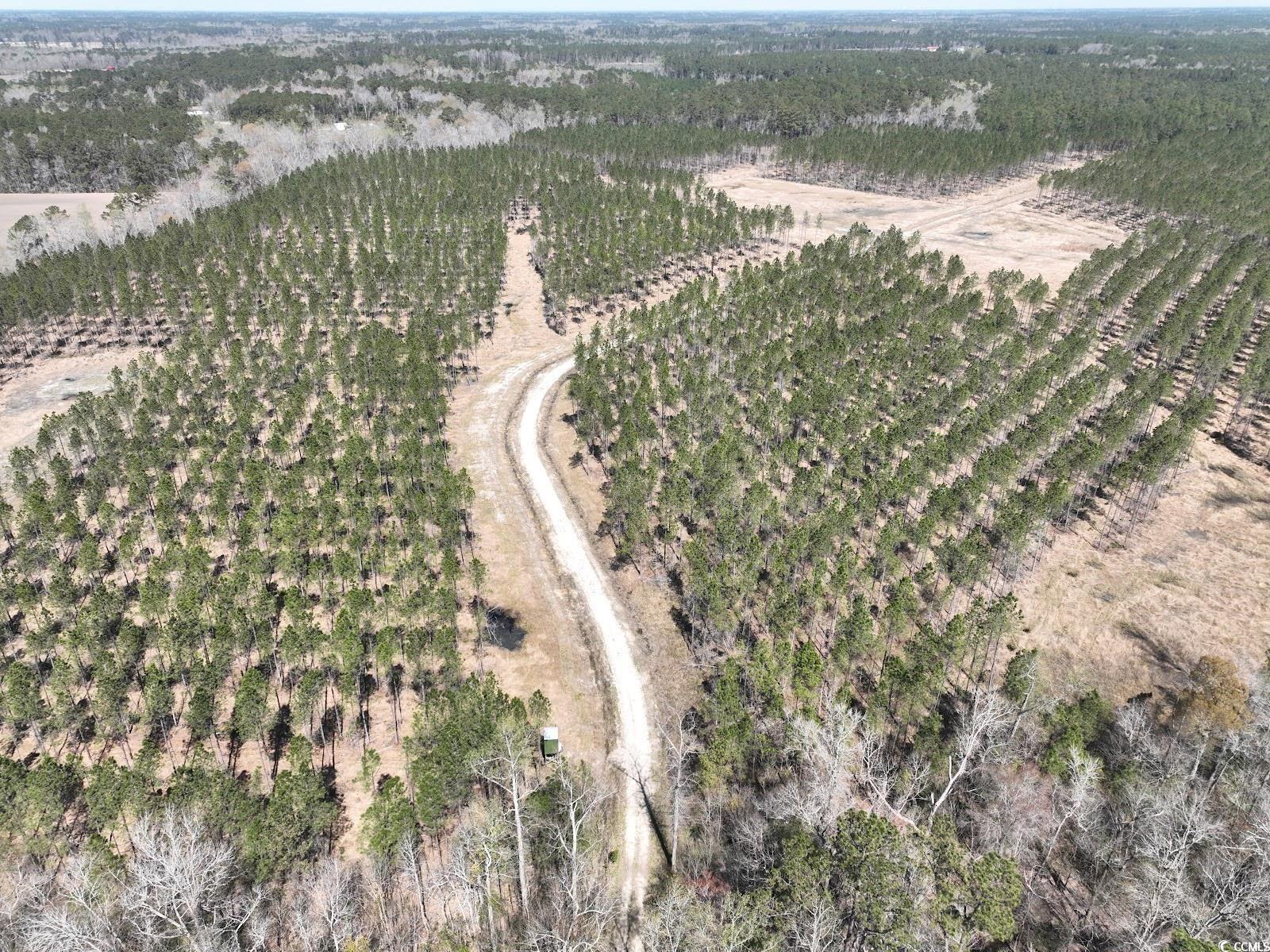 TBD Dows Rd., Loris, South Carolina image 20