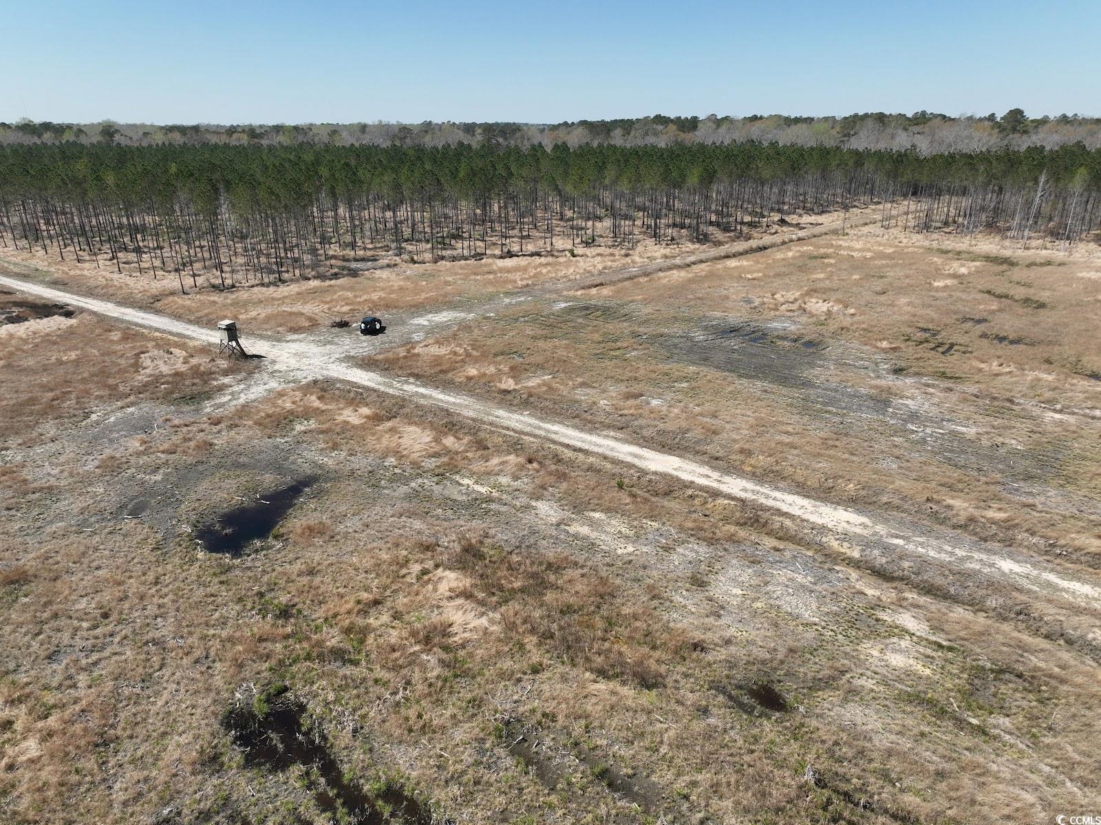 TBD Dows Rd., Loris, South Carolina image 7
