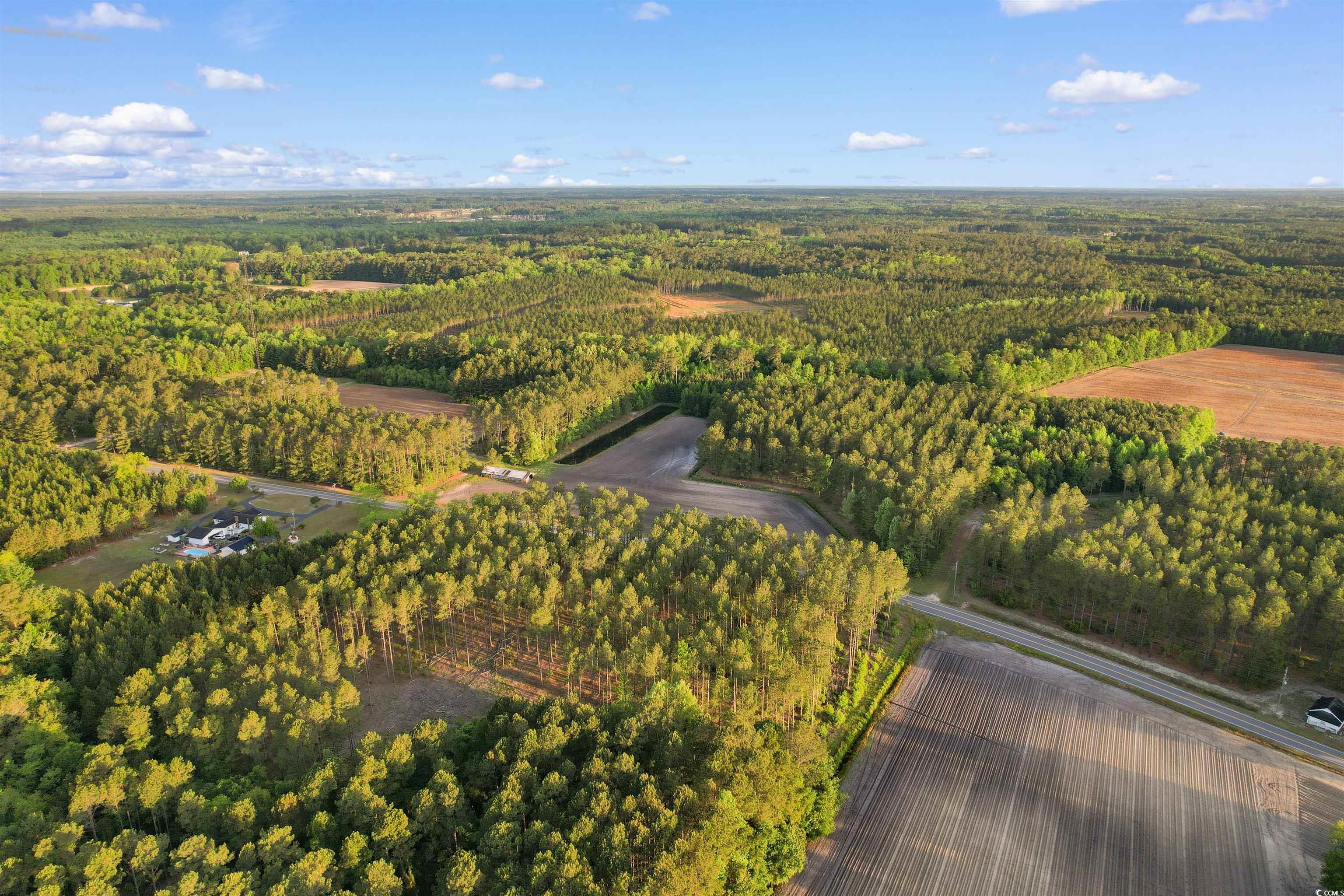 TBD Dows Rd., Loris, South Carolina image 8