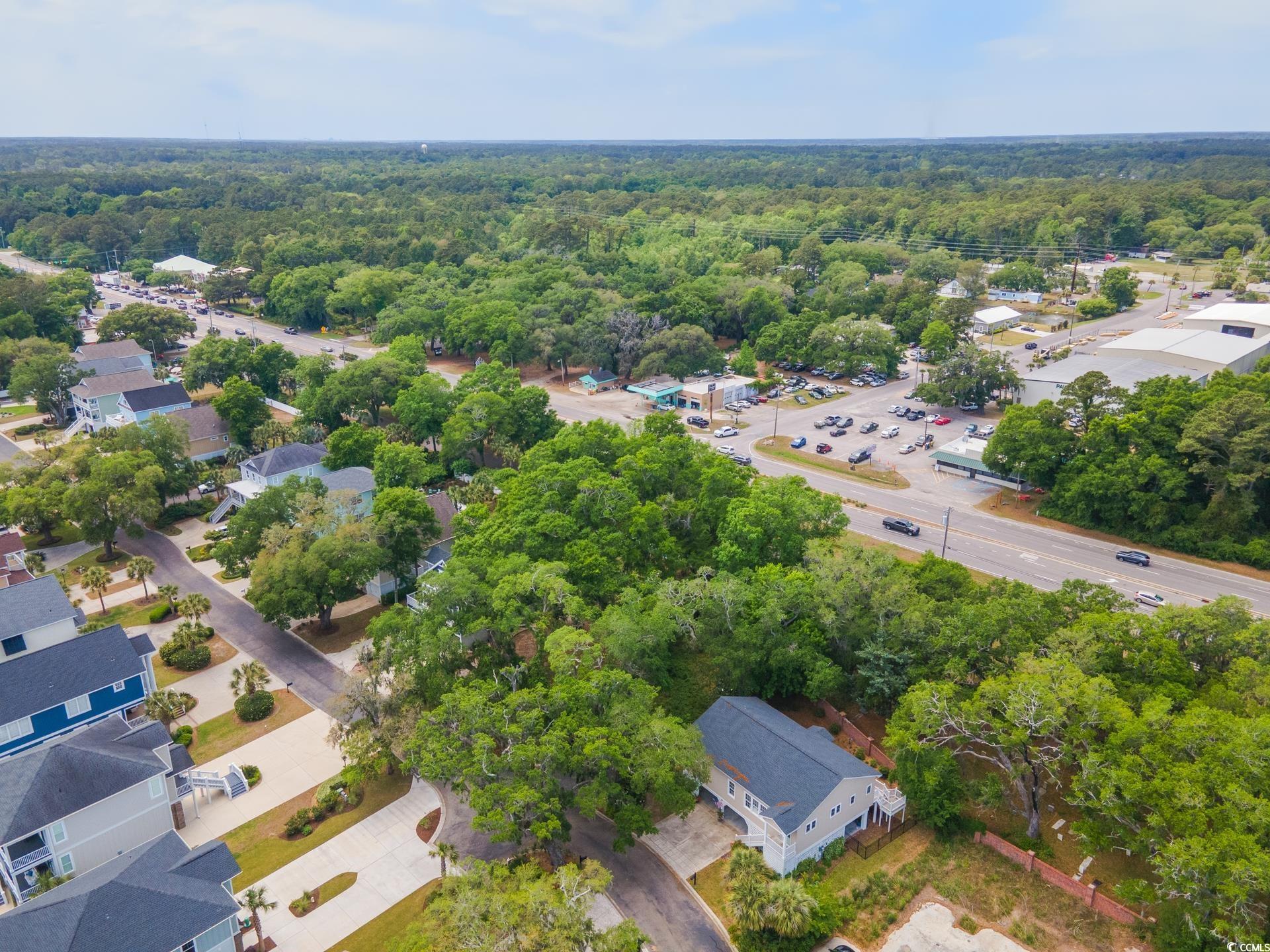 129 Windy Ln., Pawleys Island, South Carolina image 6
