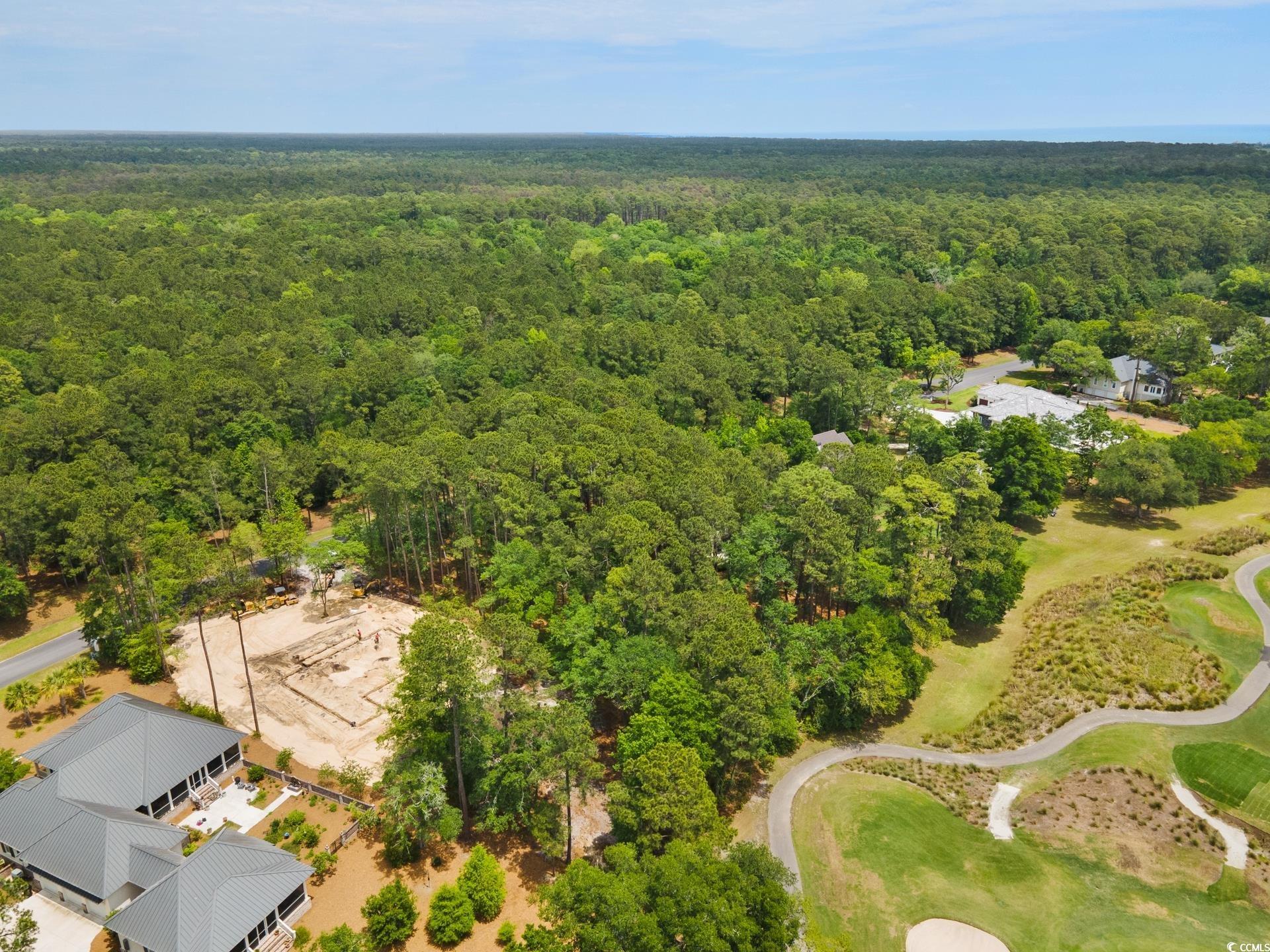 Lot 60 Wallace Pate Dr., Georgetown, South Carolina image 13