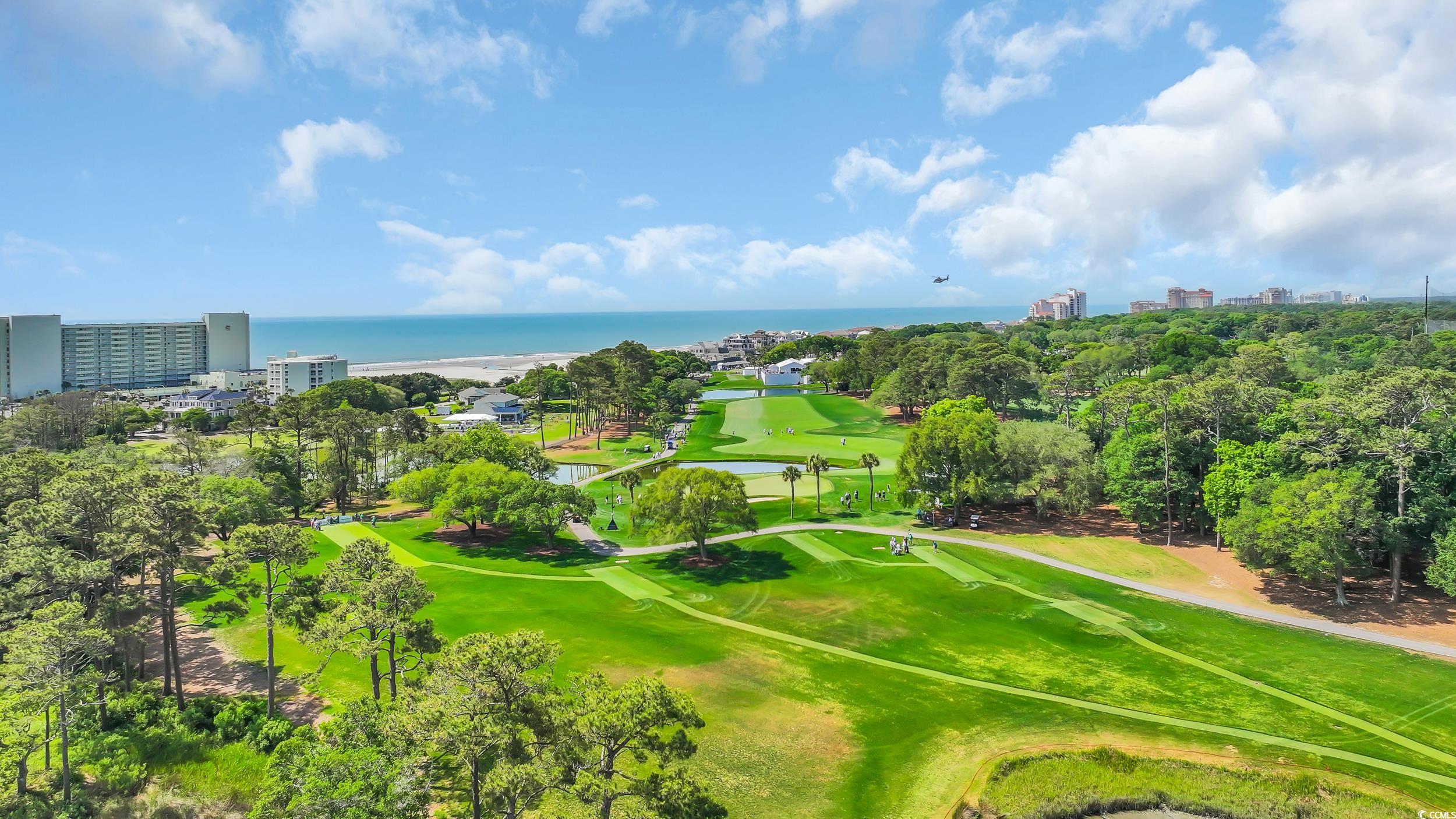 9501 Shore Dr. #A-211, Myrtle Beach, South Carolina image 3