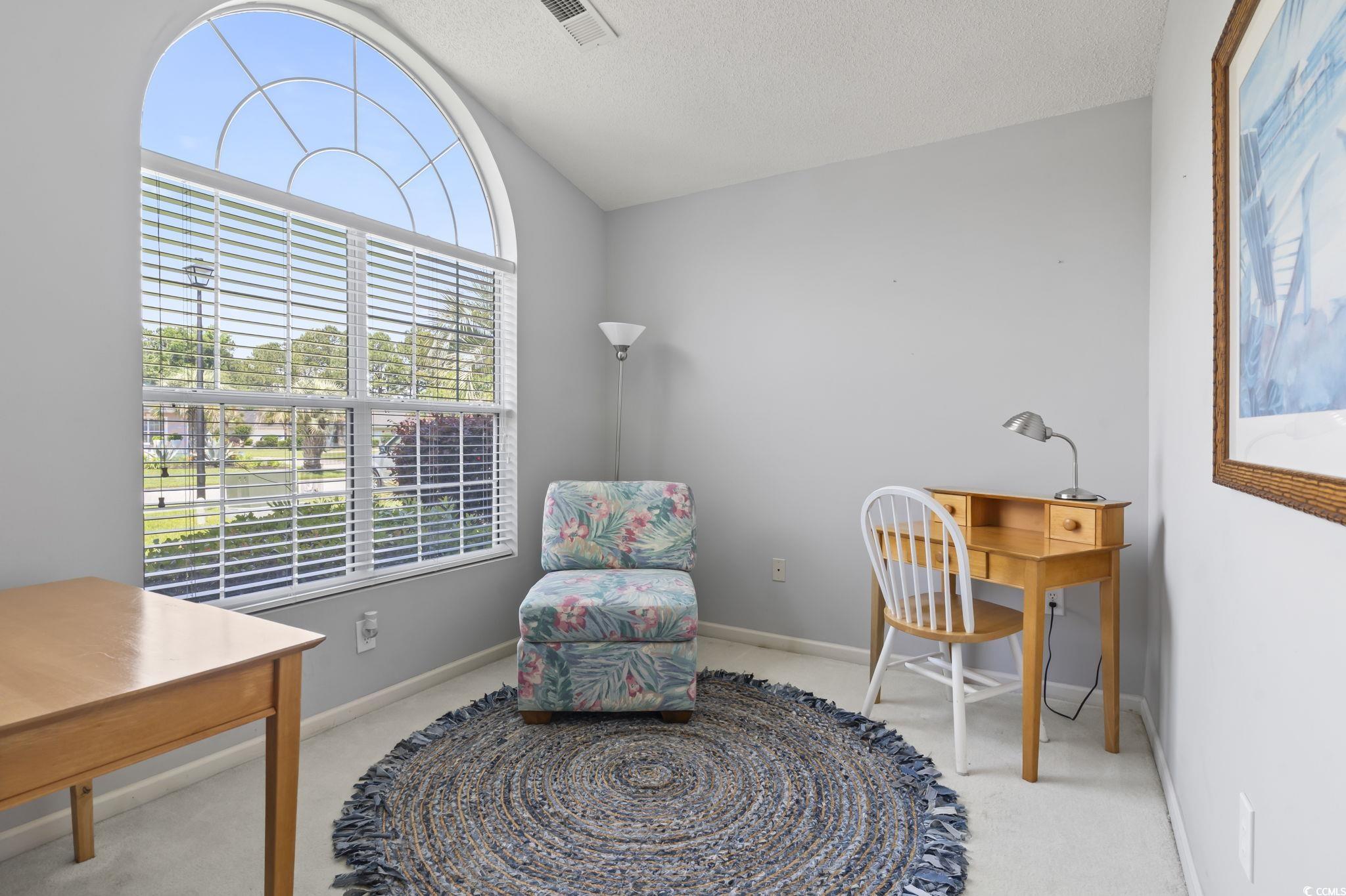 10106 Duval Dr., Murrells Inlet, South Carolina image 18