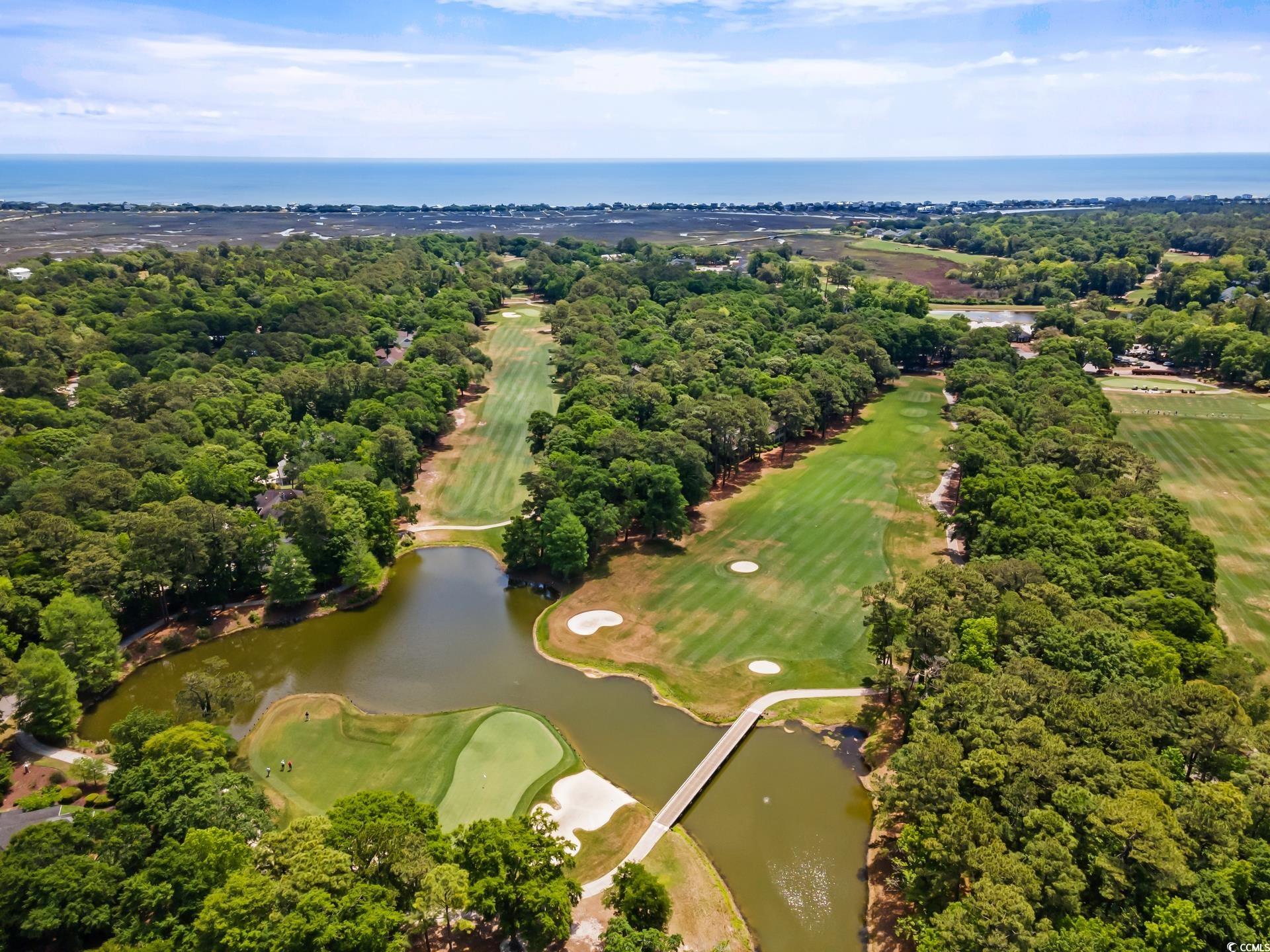 141-4 Weehawka Way #4, Pawleys Island, South Carolina image 27