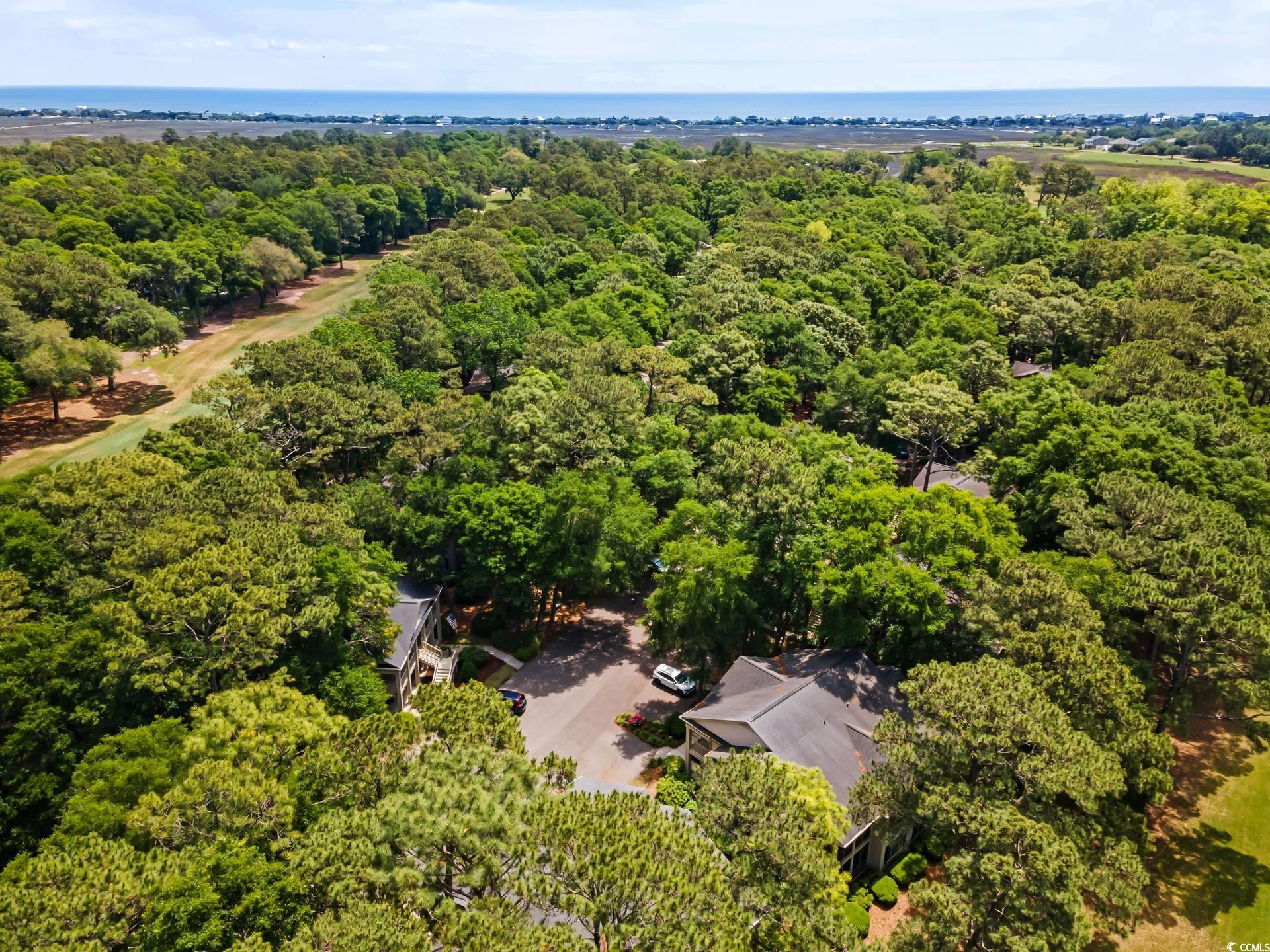 141-4 Weehawka Way #4, Pawleys Island, South Carolina image 29