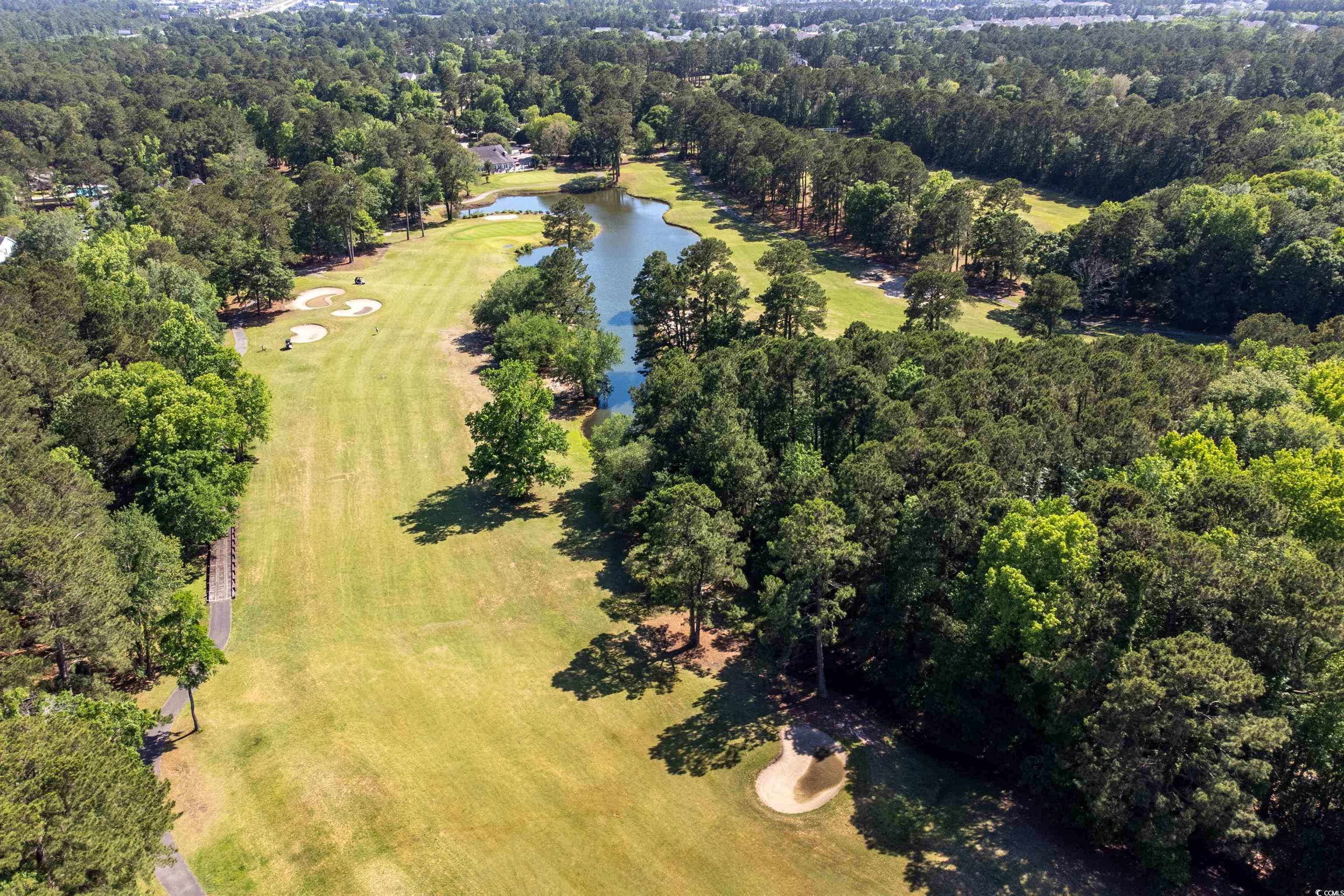 9569 Indigo Club Dr., Murrells Inlet, South Carolina image 32
