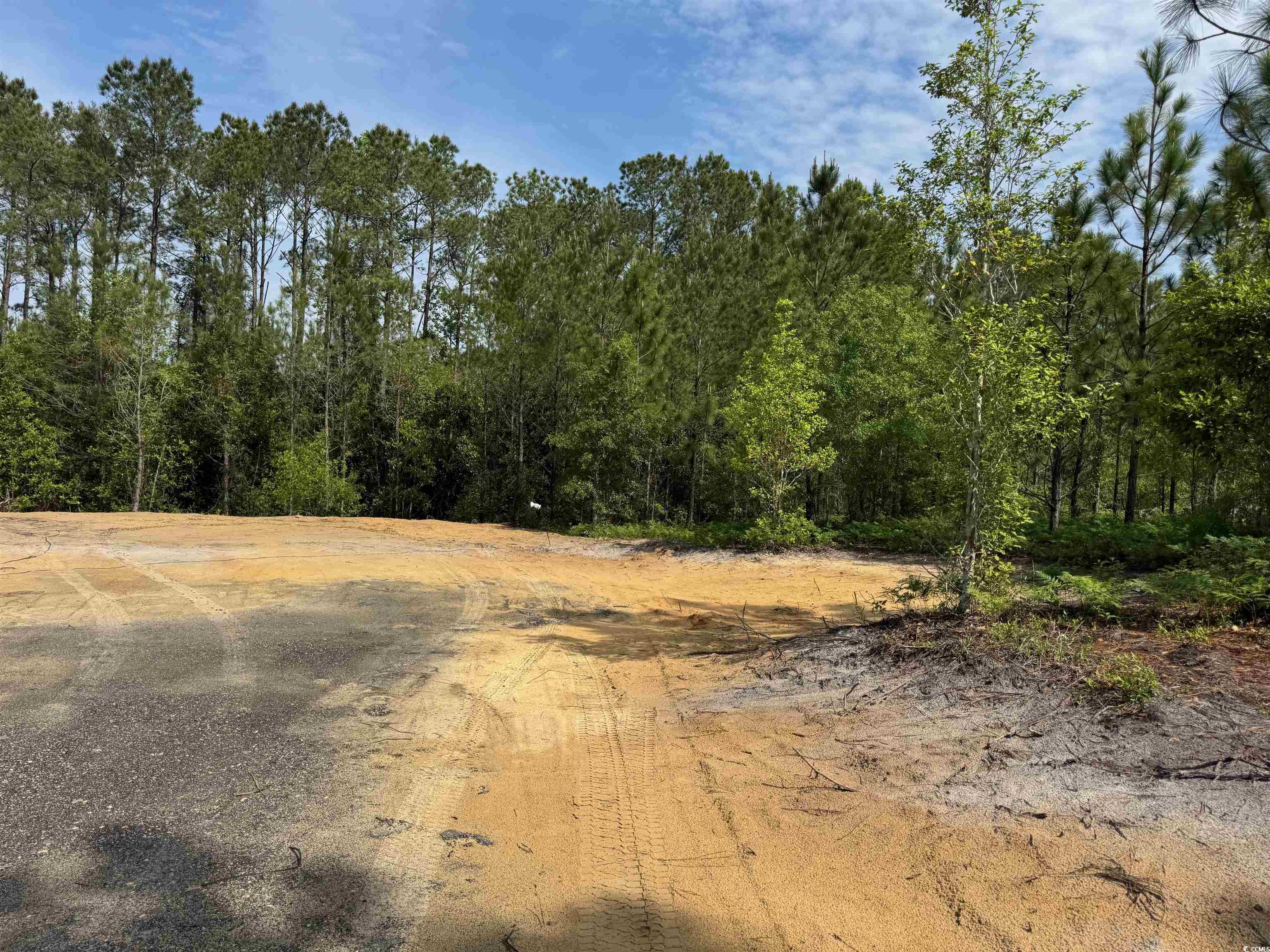1698 Carriage Dr., Loris, South Carolina image 10
