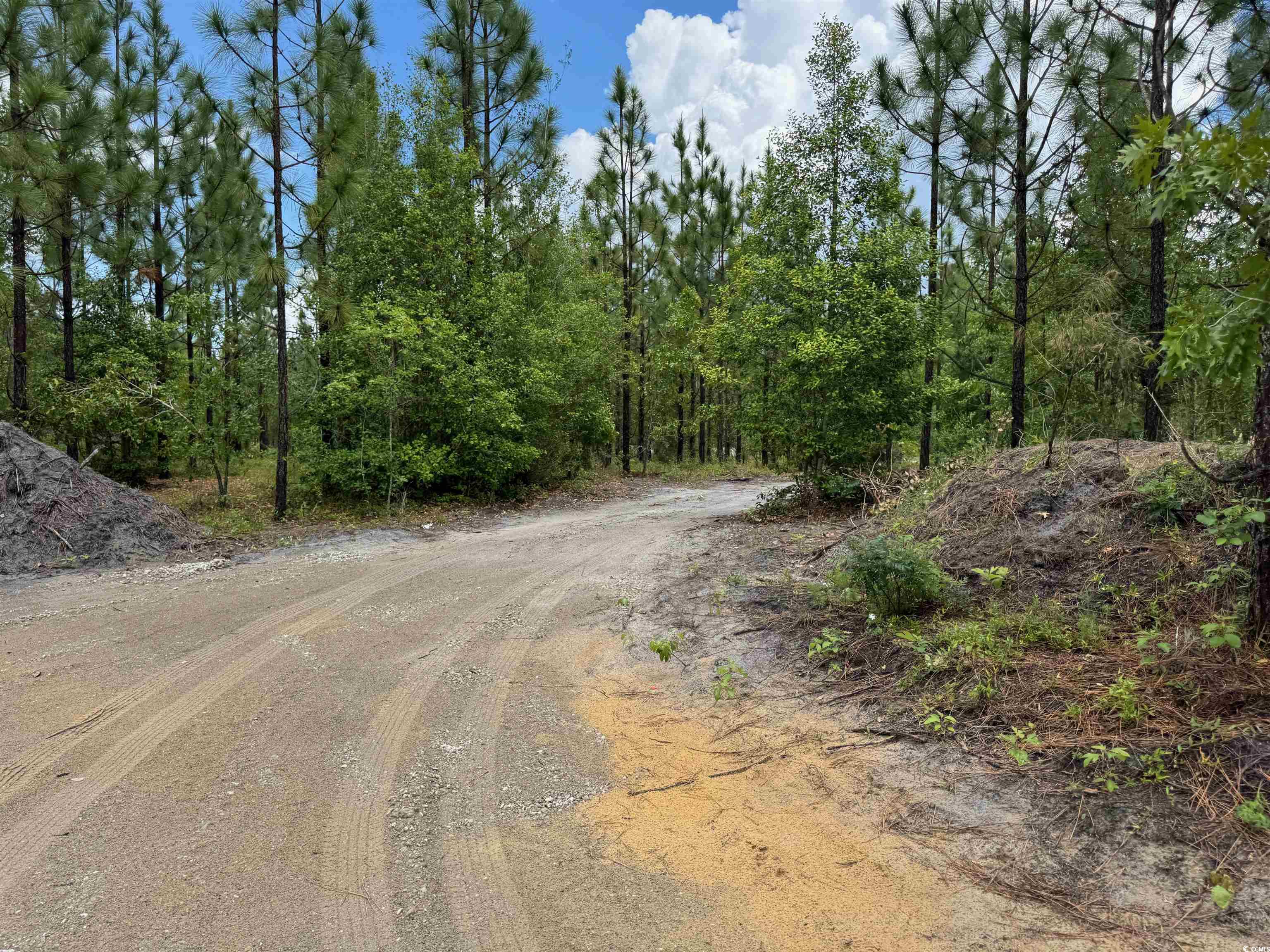 1698 Carriage Dr., Loris, South Carolina image 11