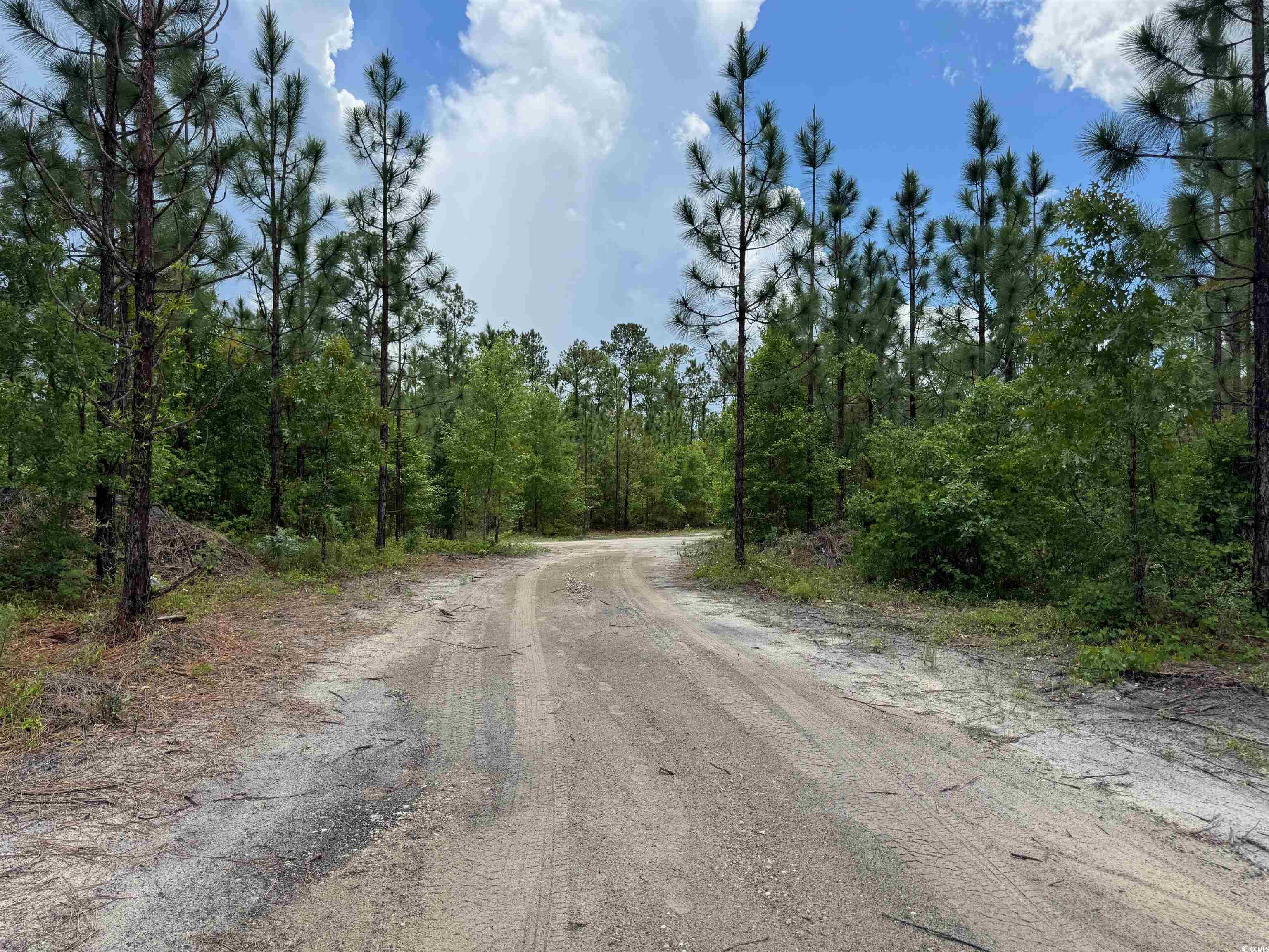 1698 Carriage Dr., Loris, South Carolina image 5