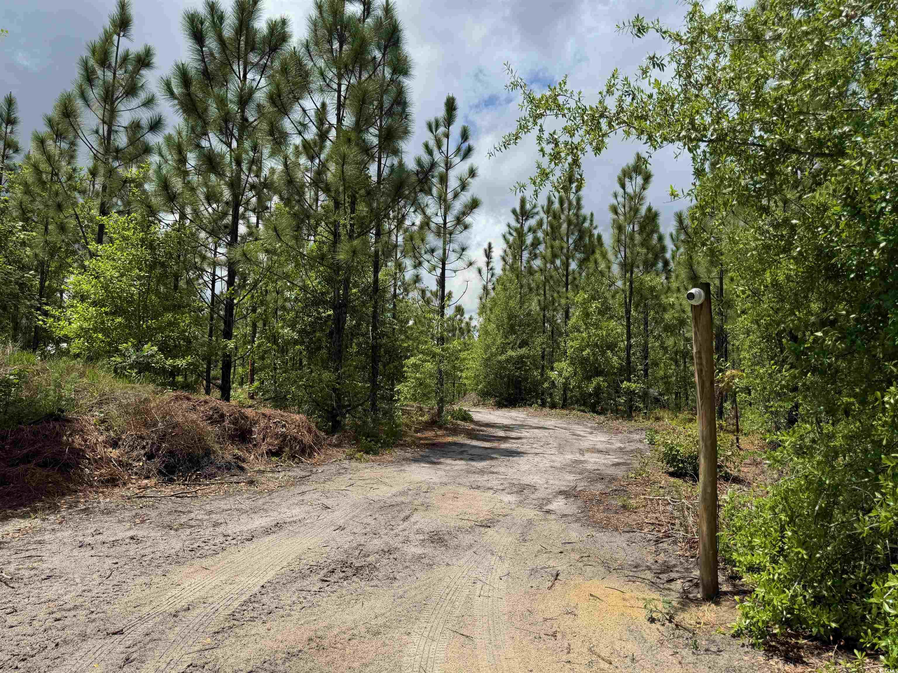 1698 Carriage Dr., Loris, South Carolina image 8