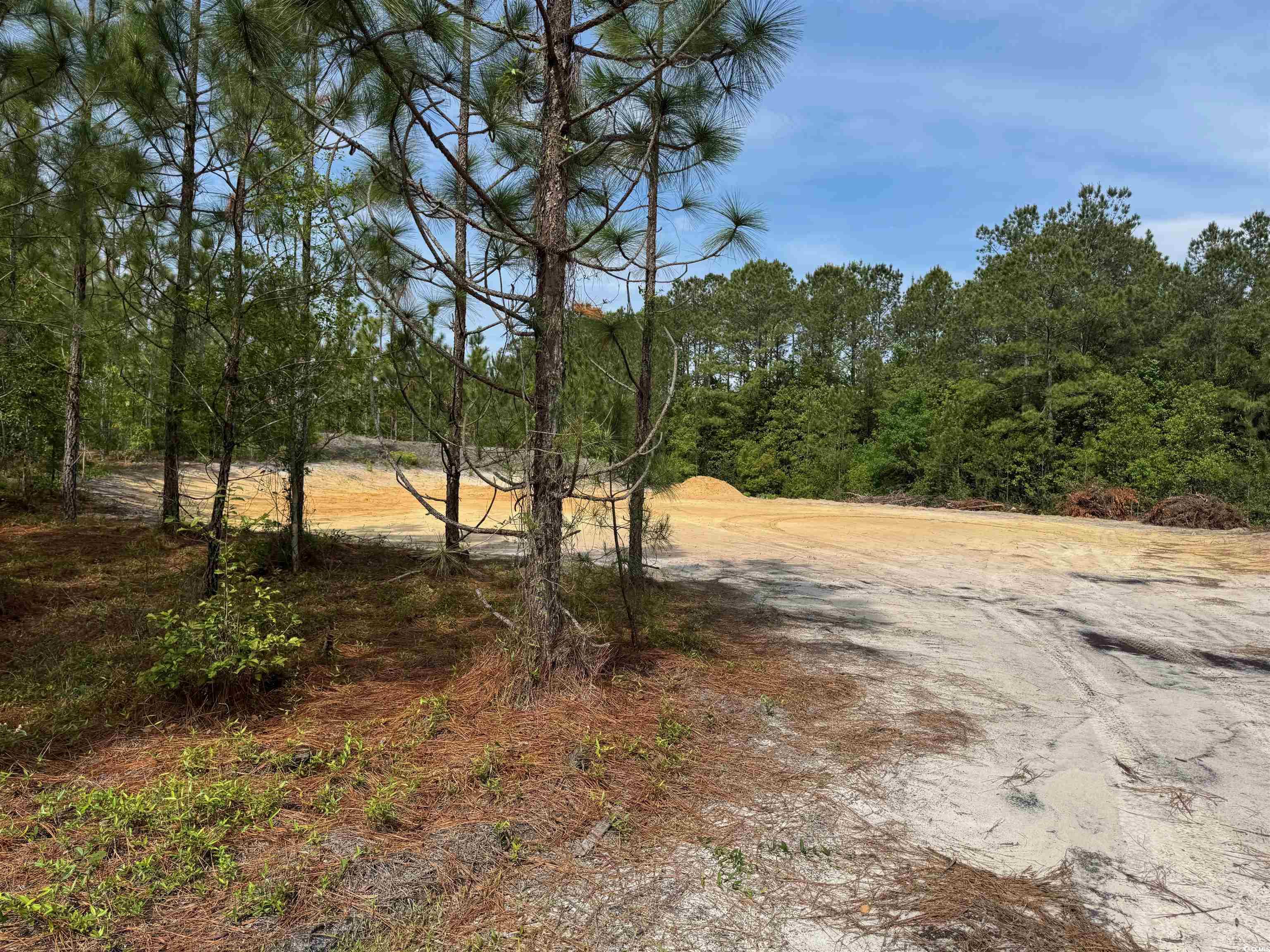 1698 Carriage Dr. Loris, SC 29569