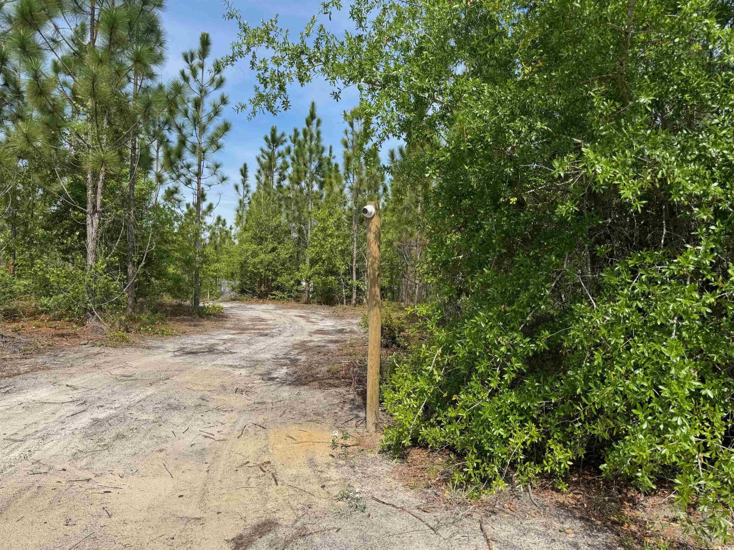 1698 Carriage Dr., Loris, South Carolina image 4