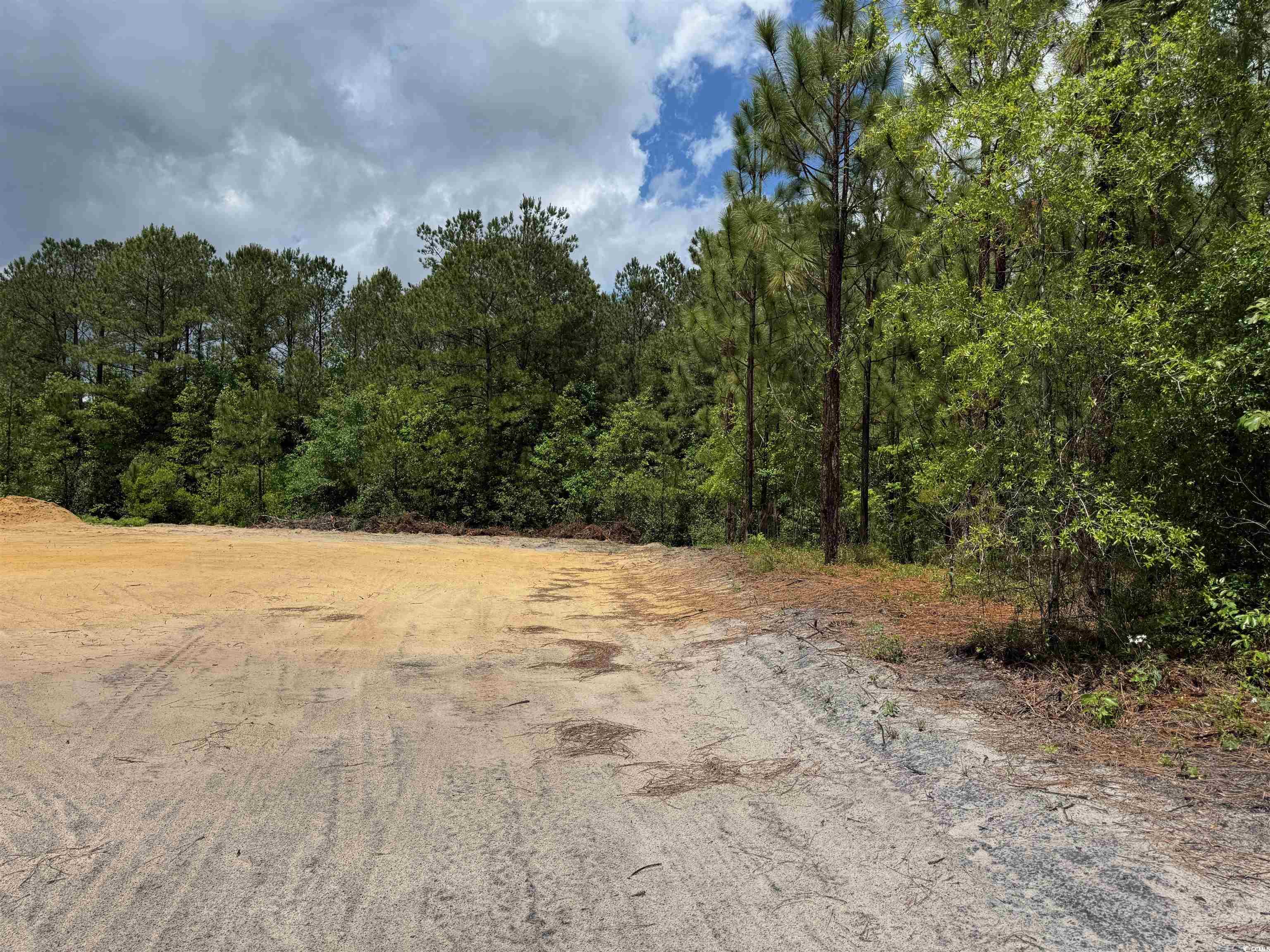 1698 Carriage Dr., Loris, South Carolina image 13