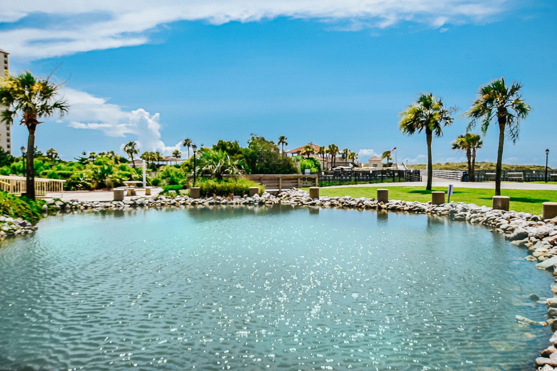 415 Ocean Creek Dr. #2245, Myrtle Beach, South Carolina image 27