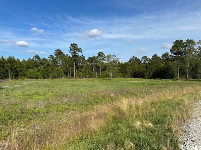 114 Belland Ct., Loris, South Carolina image 1