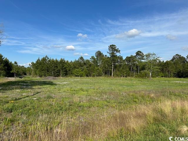 114 Belland Ct., Loris, South Carolina image 2