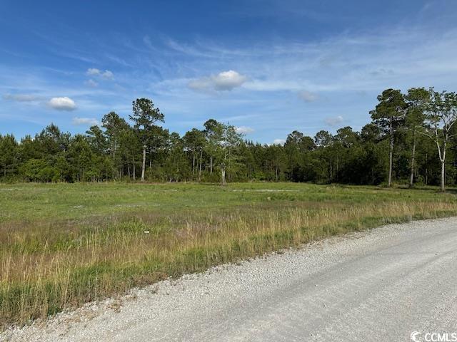 114 Belland Ct., Loris, South Carolina image 3