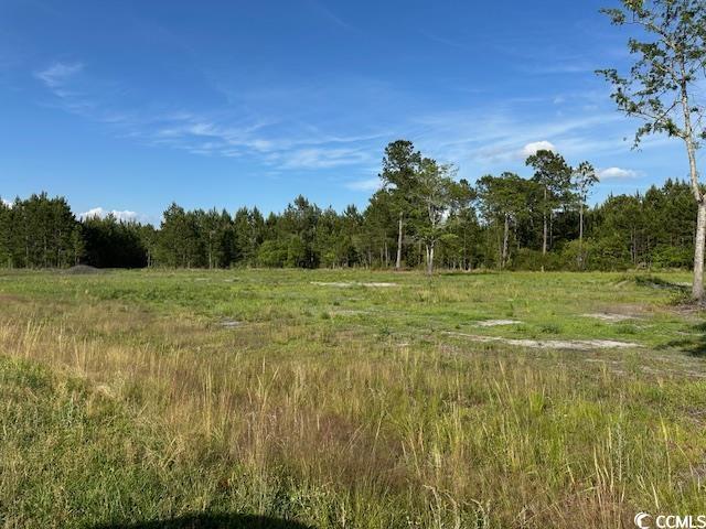 114 Belland Ct., Loris, South Carolina image 4