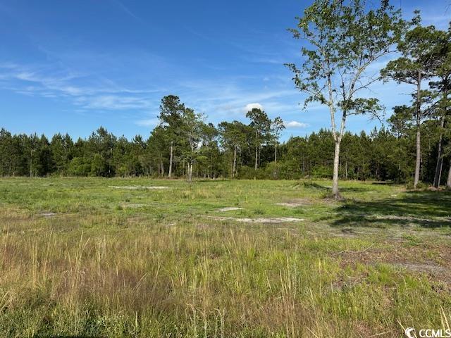 114 Belland Ct., Loris, South Carolina image 5