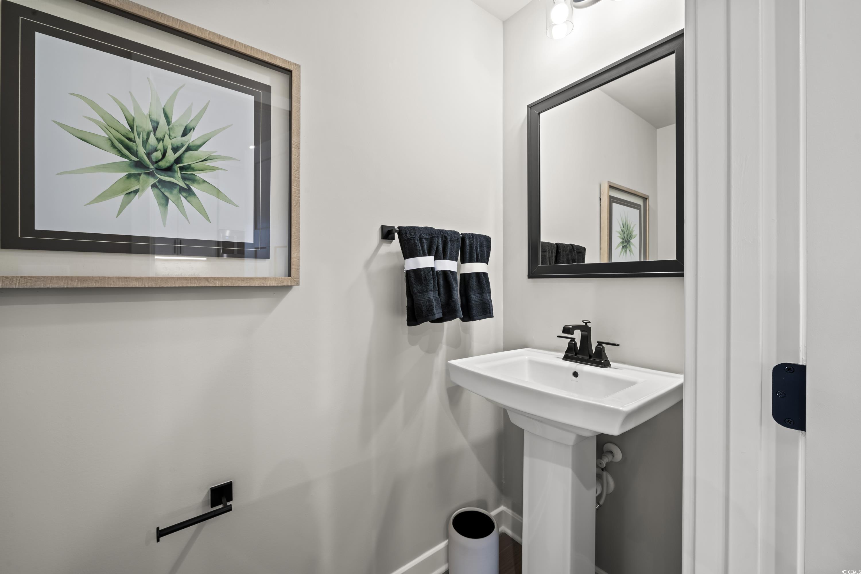 8801 Reya Rd #163A, Longs, South Carolina image 32