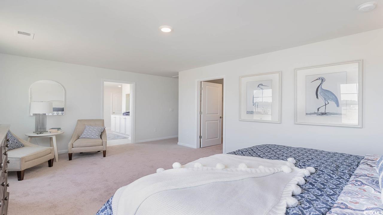 738 Chazen Way, Longs, South Carolina image 17