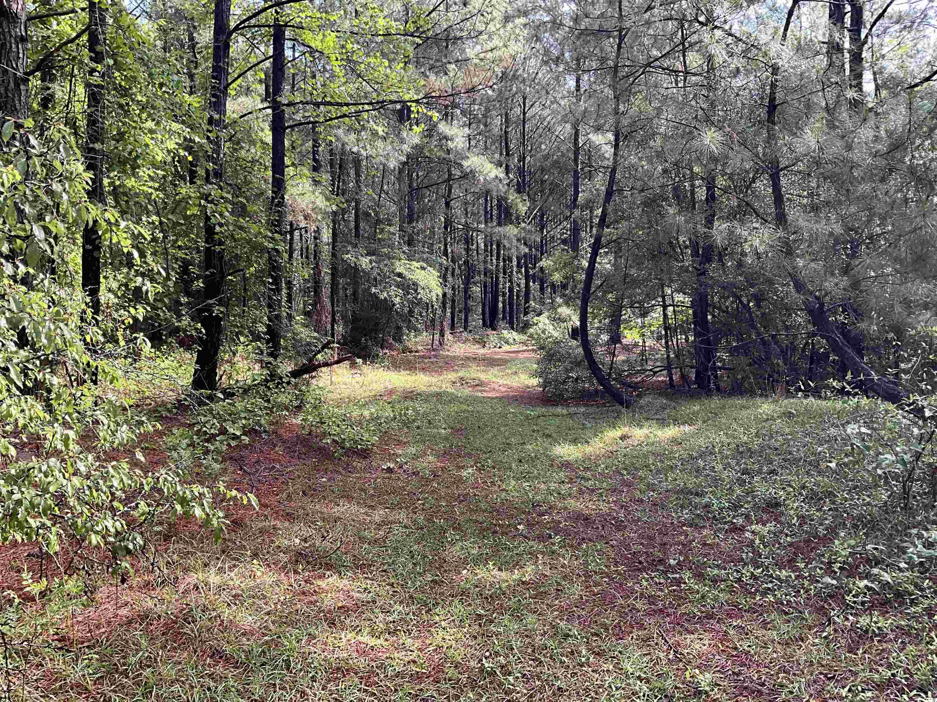 TBD Trade St., Cheraw, South Carolina image 2