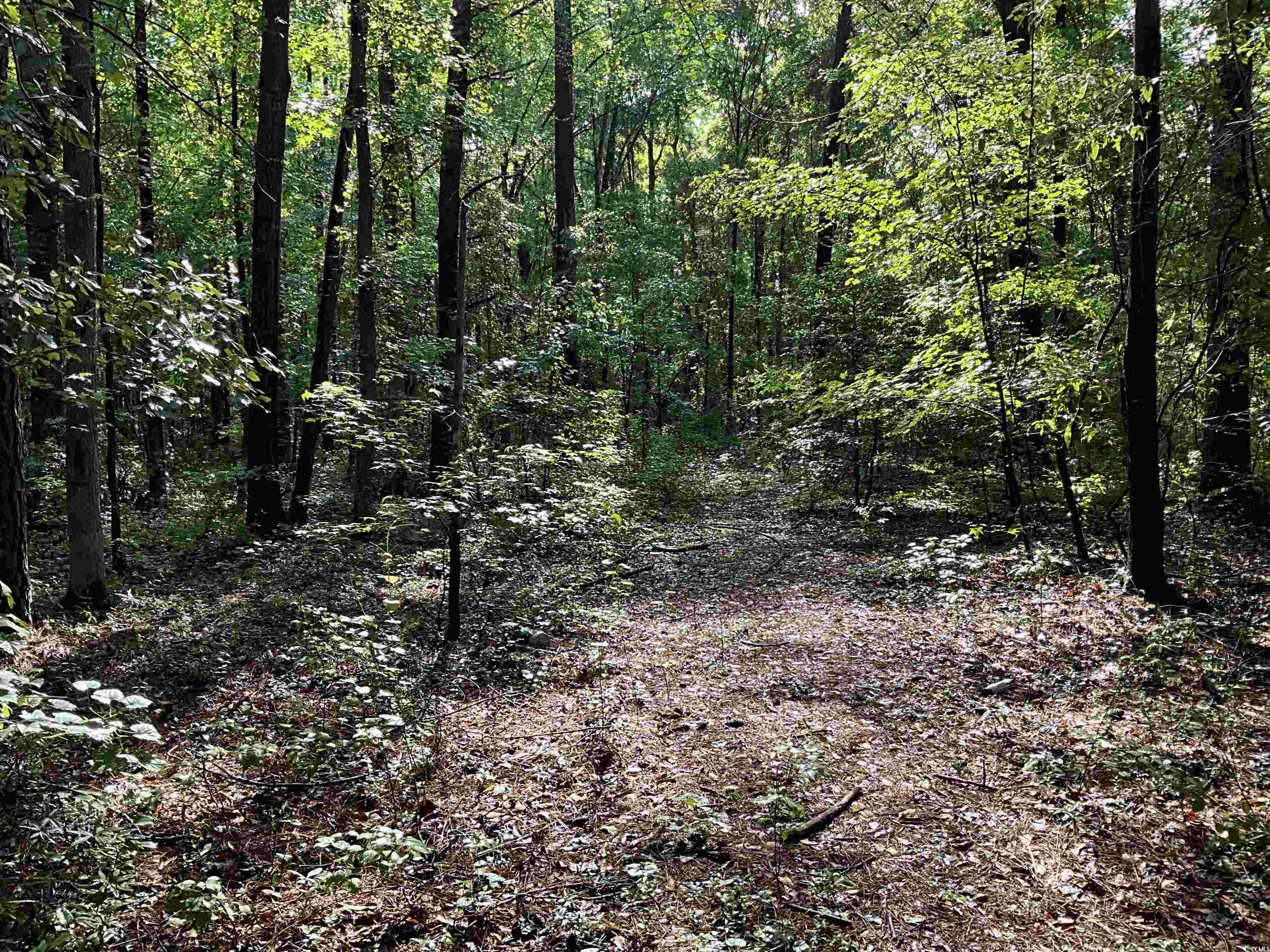 TBD Trade St., Cheraw, South Carolina image 5