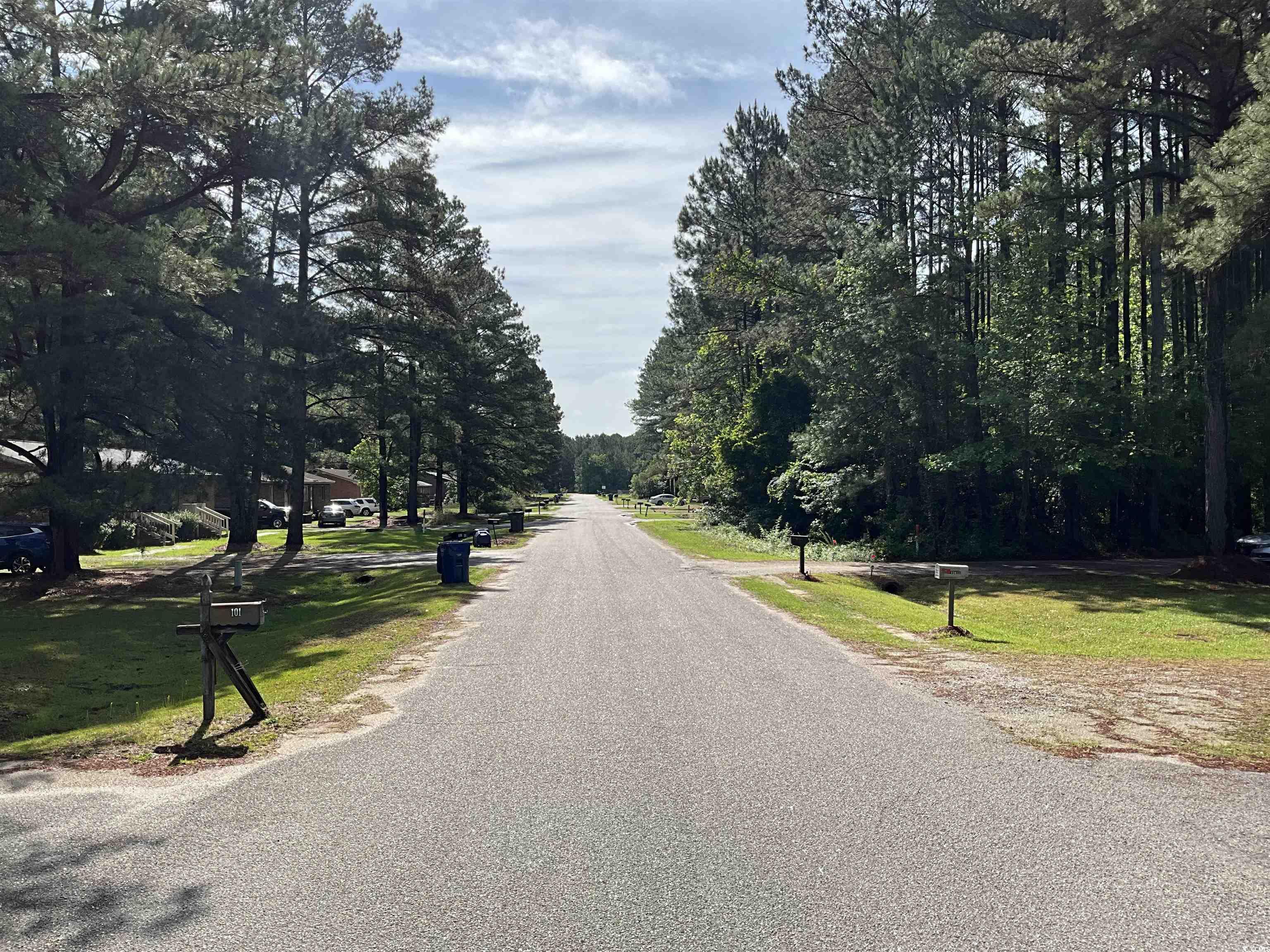 TBD Trade St., Cheraw, South Carolina image 8