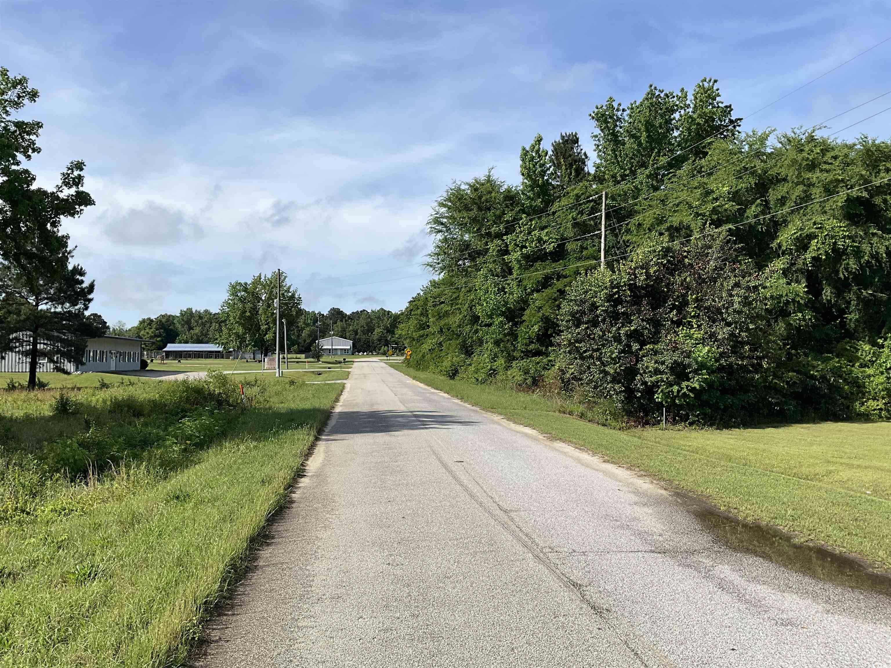 TBD Trade St., Cheraw, South Carolina image 9