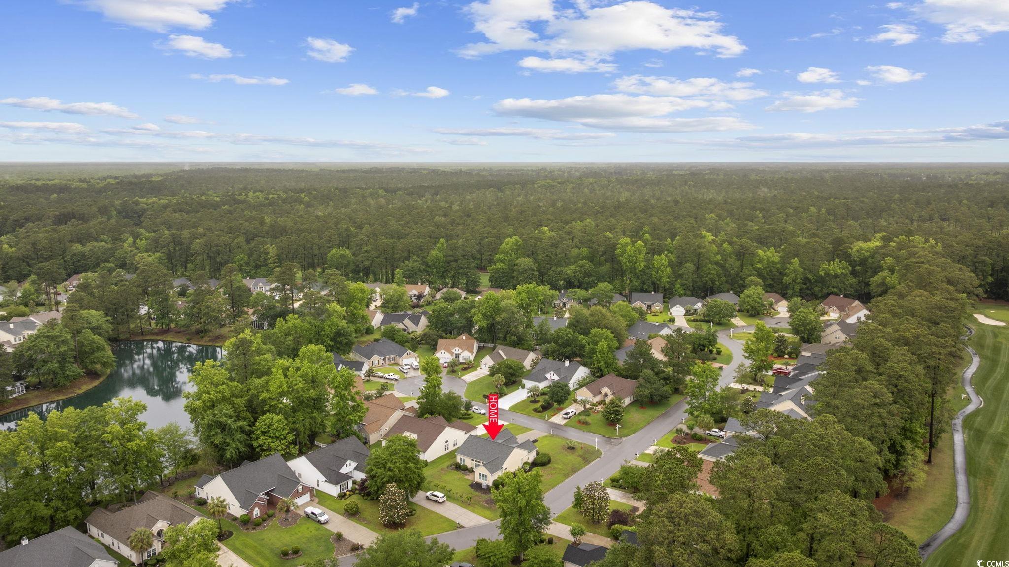 9831 Winchester Ct., Murrells Inlet, South Carolina image 37