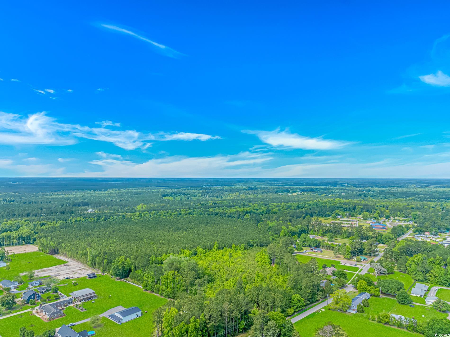 TBD Myrtle Rd., Andrews, South Carolina image 11