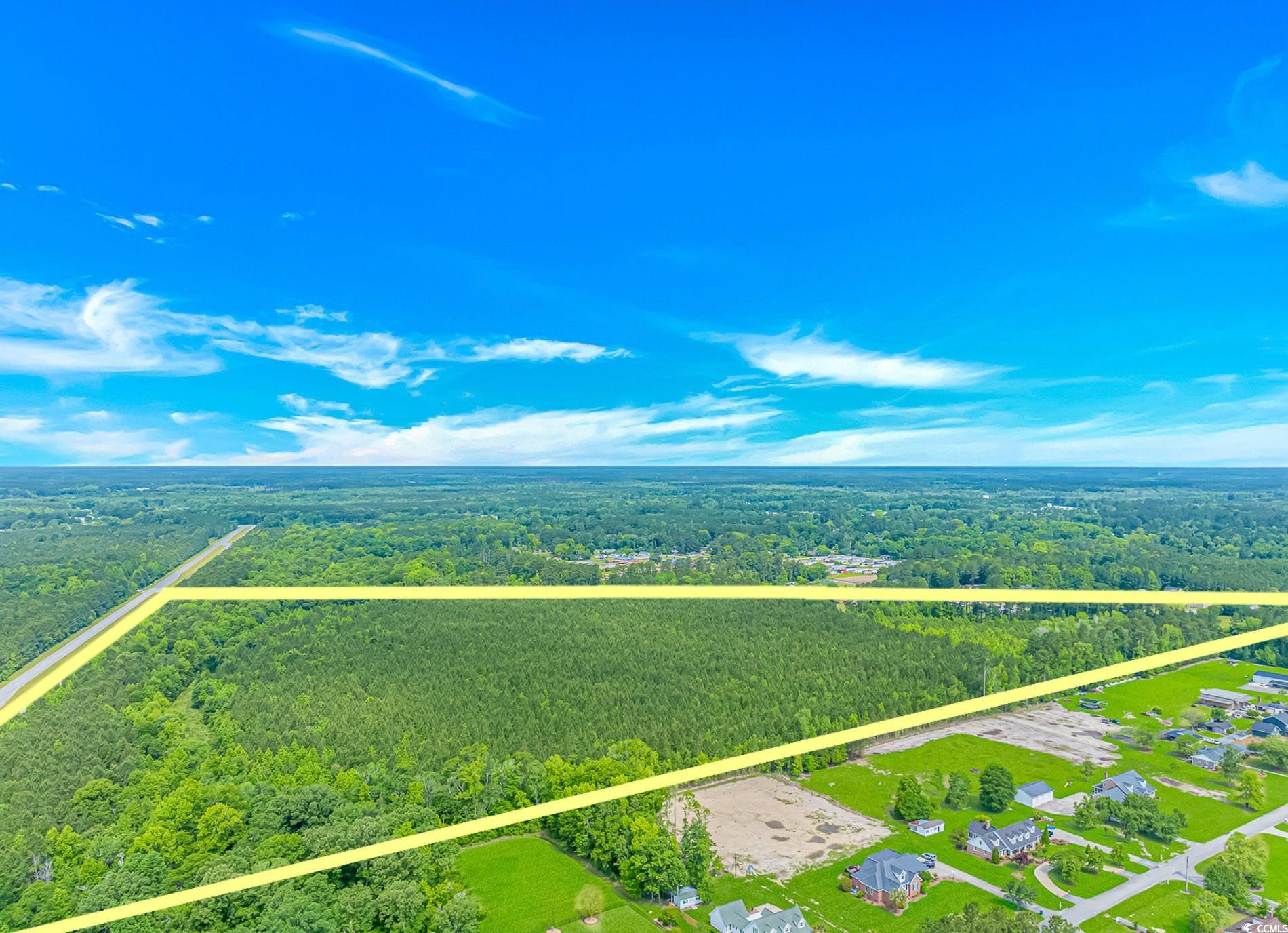 TBD Myrtle Rd., Andrews, South Carolina image 3