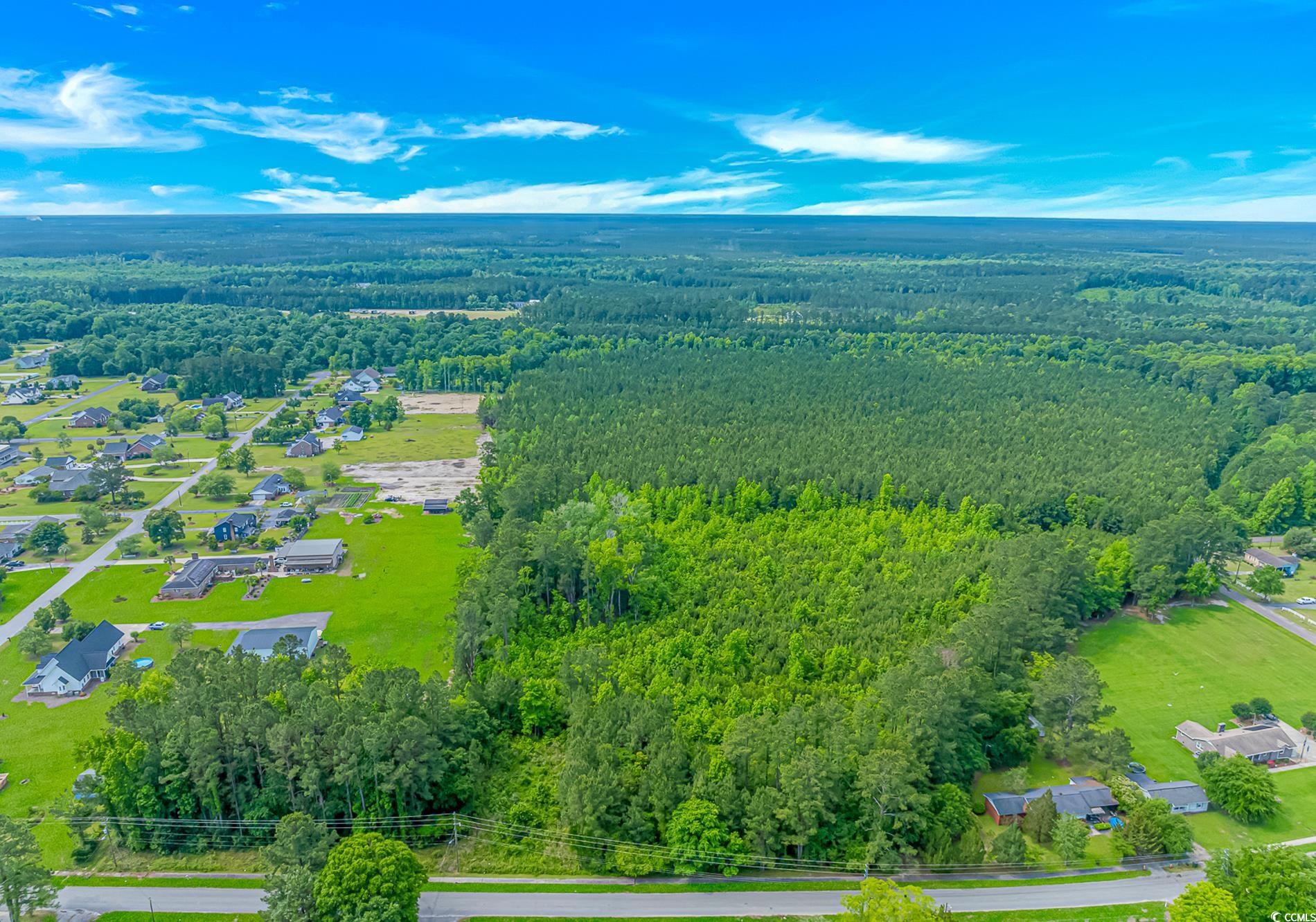 TBD Myrtle Rd., Andrews, South Carolina image 4