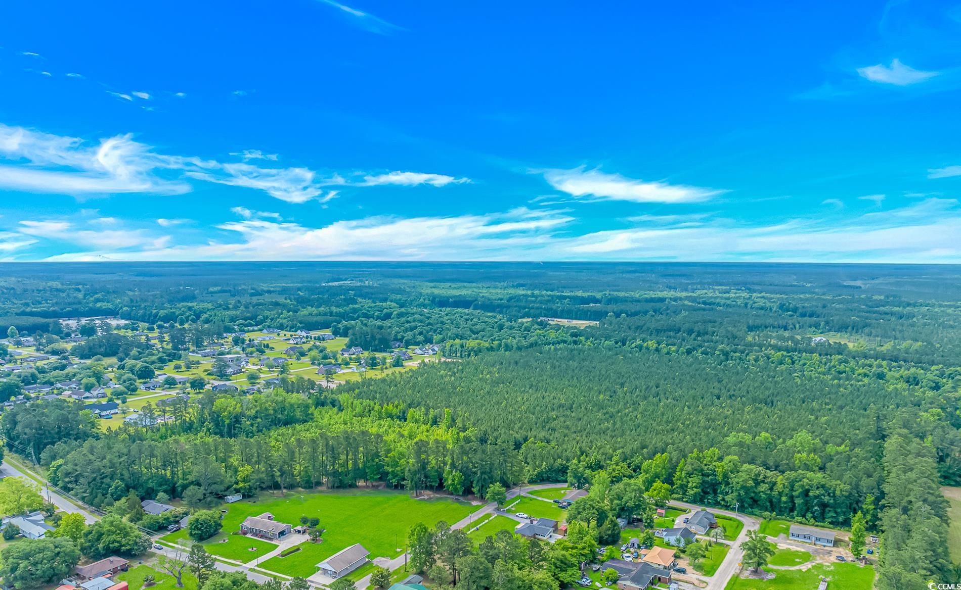 TBD Myrtle Rd., Andrews, South Carolina image 5