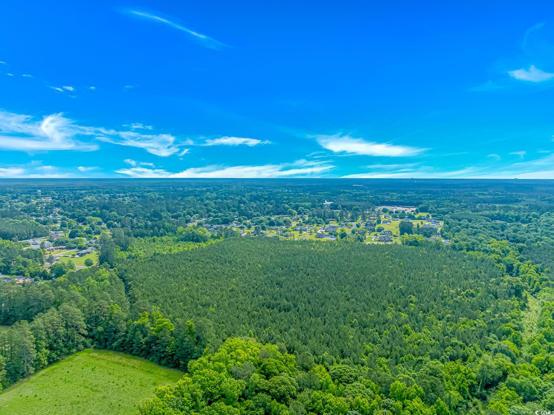 TBD Myrtle Rd., Andrews, South Carolina image 7