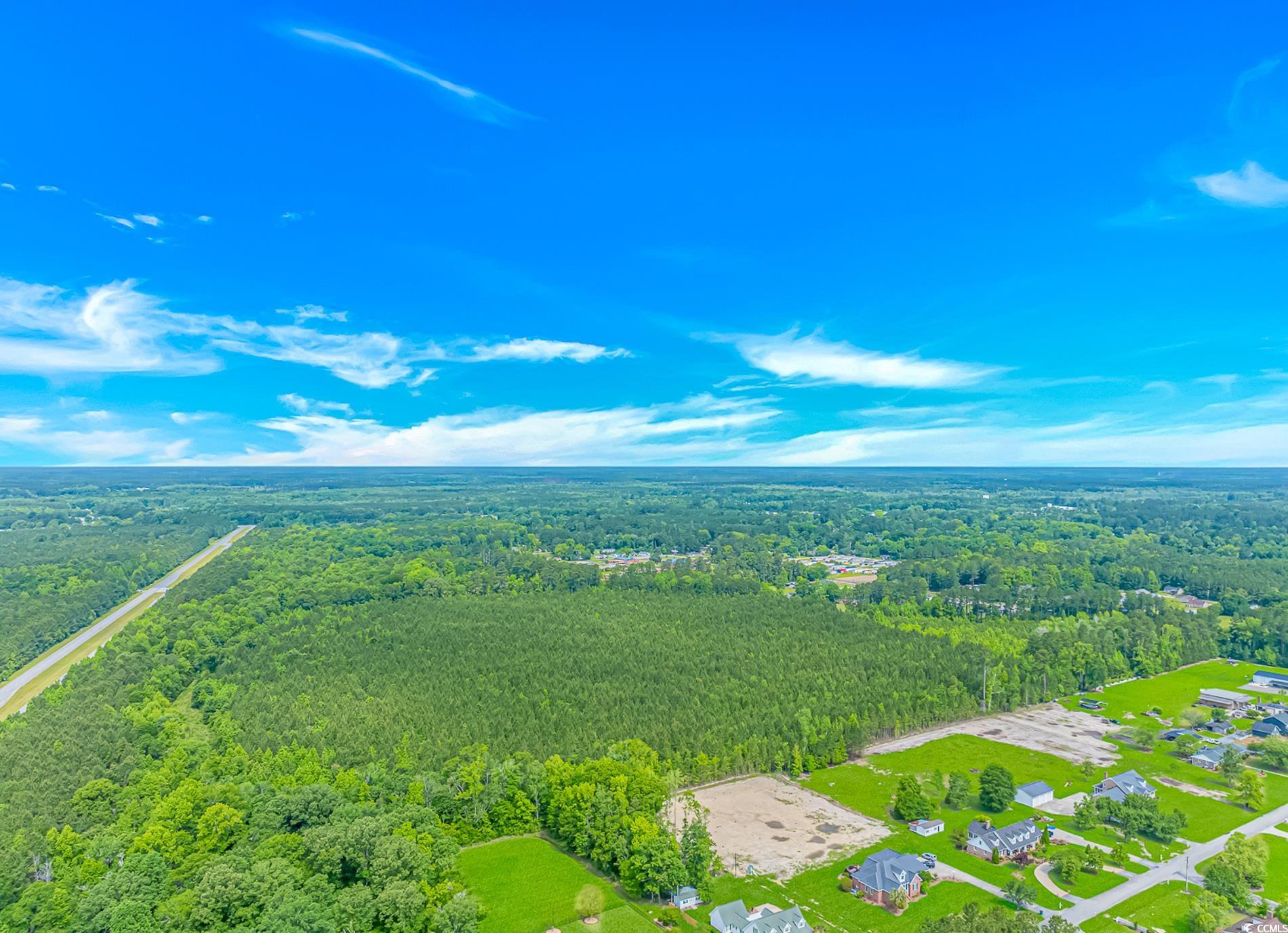 TBD Myrtle Rd., Andrews, South Carolina image 8