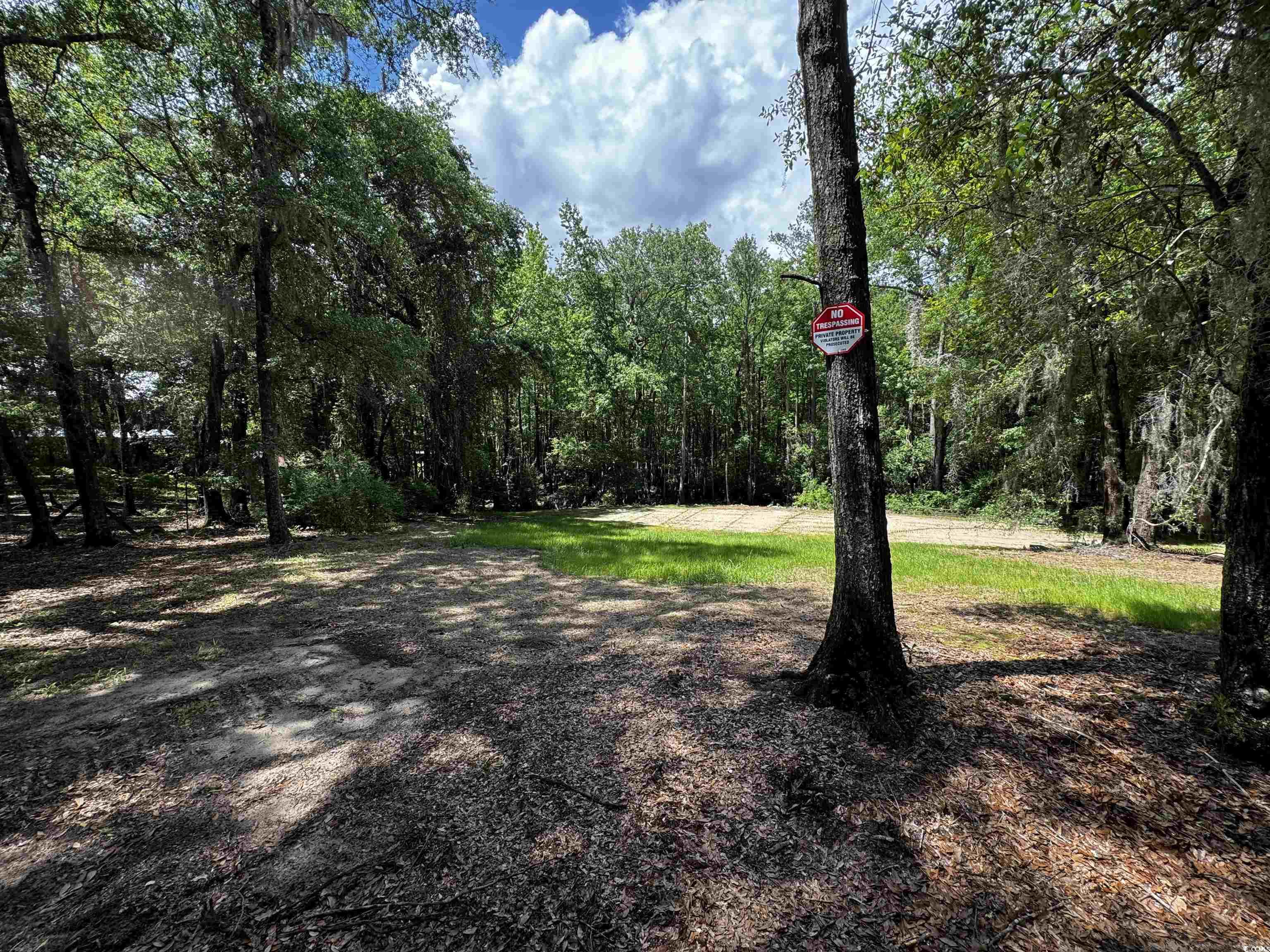 455 Crow Hill Dr., Georgetown, South Carolina image 10