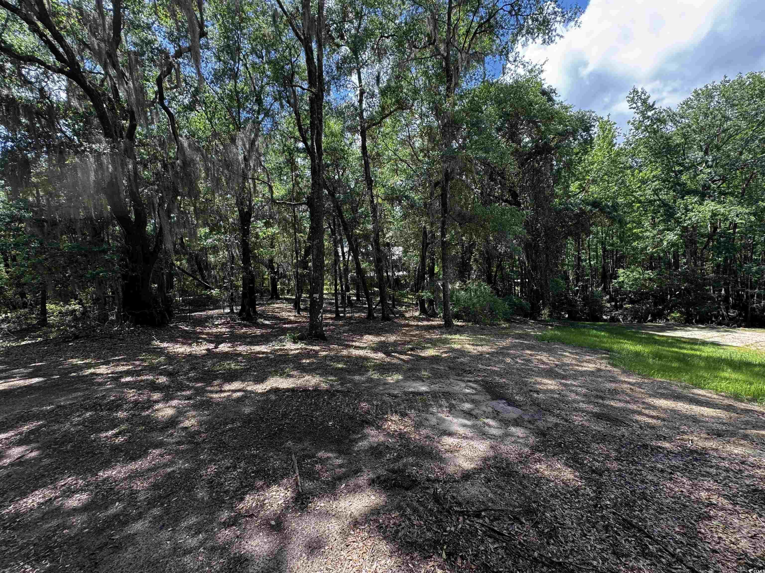 455 Crow Hill Dr., Georgetown, South Carolina image 11