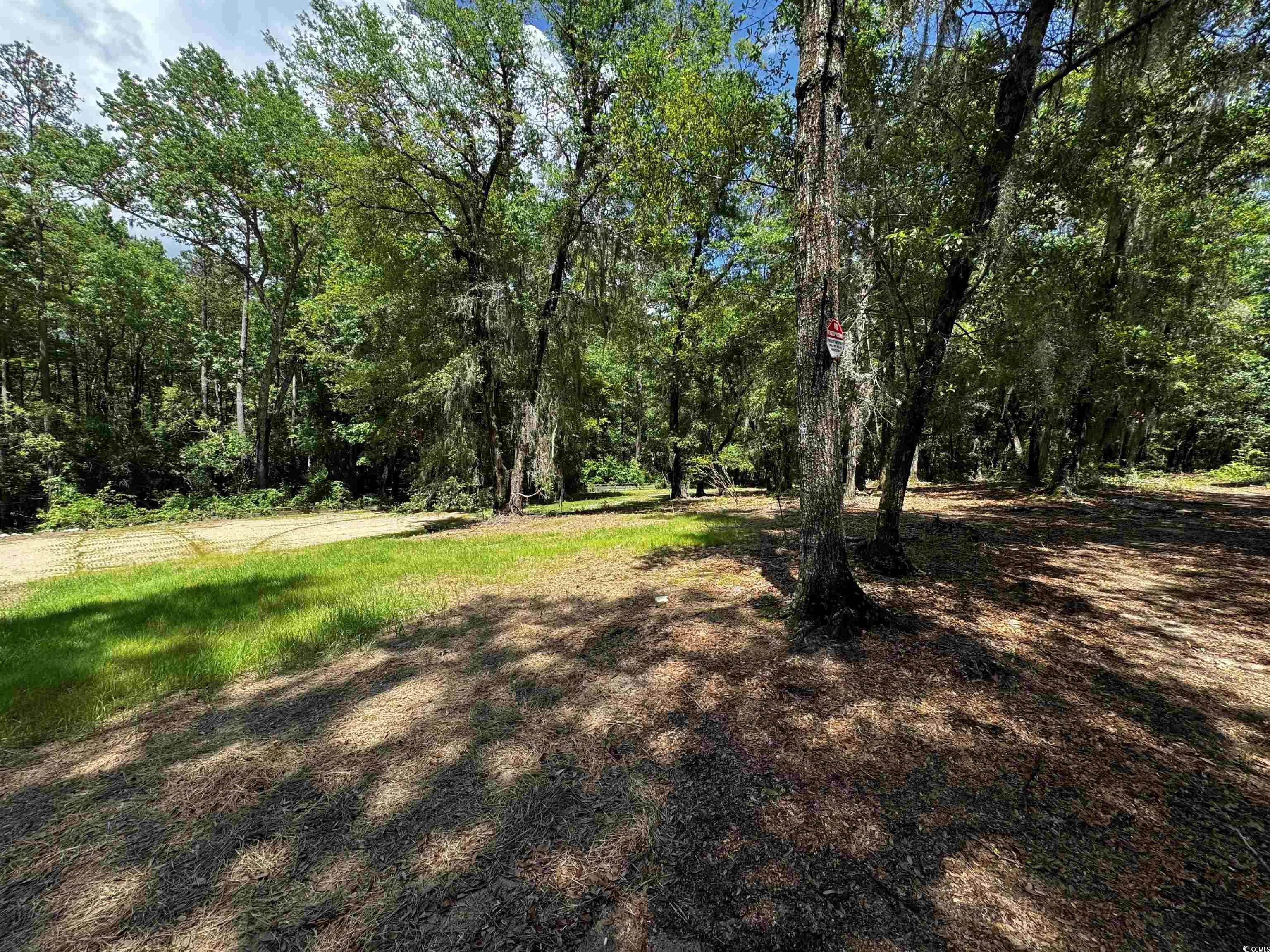 455 Crow Hill Dr., Georgetown, South Carolina image 5