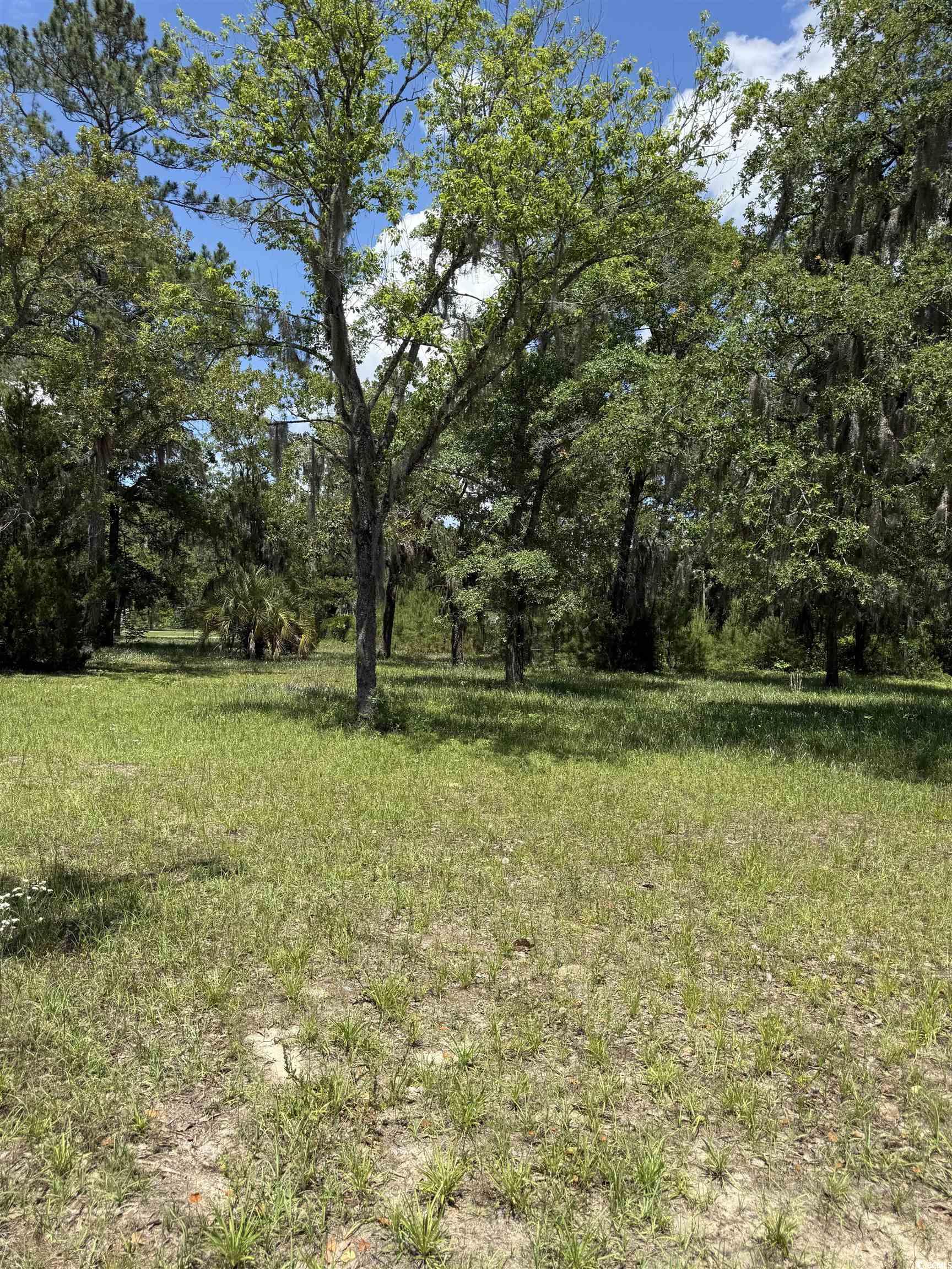 5375 Hampton Rd., Conway, South Carolina image 1