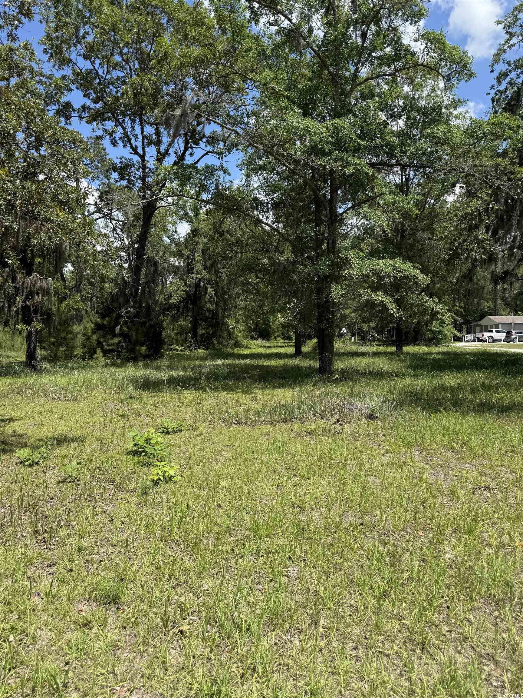 5375 Hampton Rd., Conway, South Carolina image 2