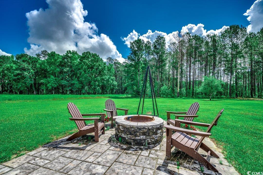 4260 Long Avenue Ext., Conway, South Carolina image 35