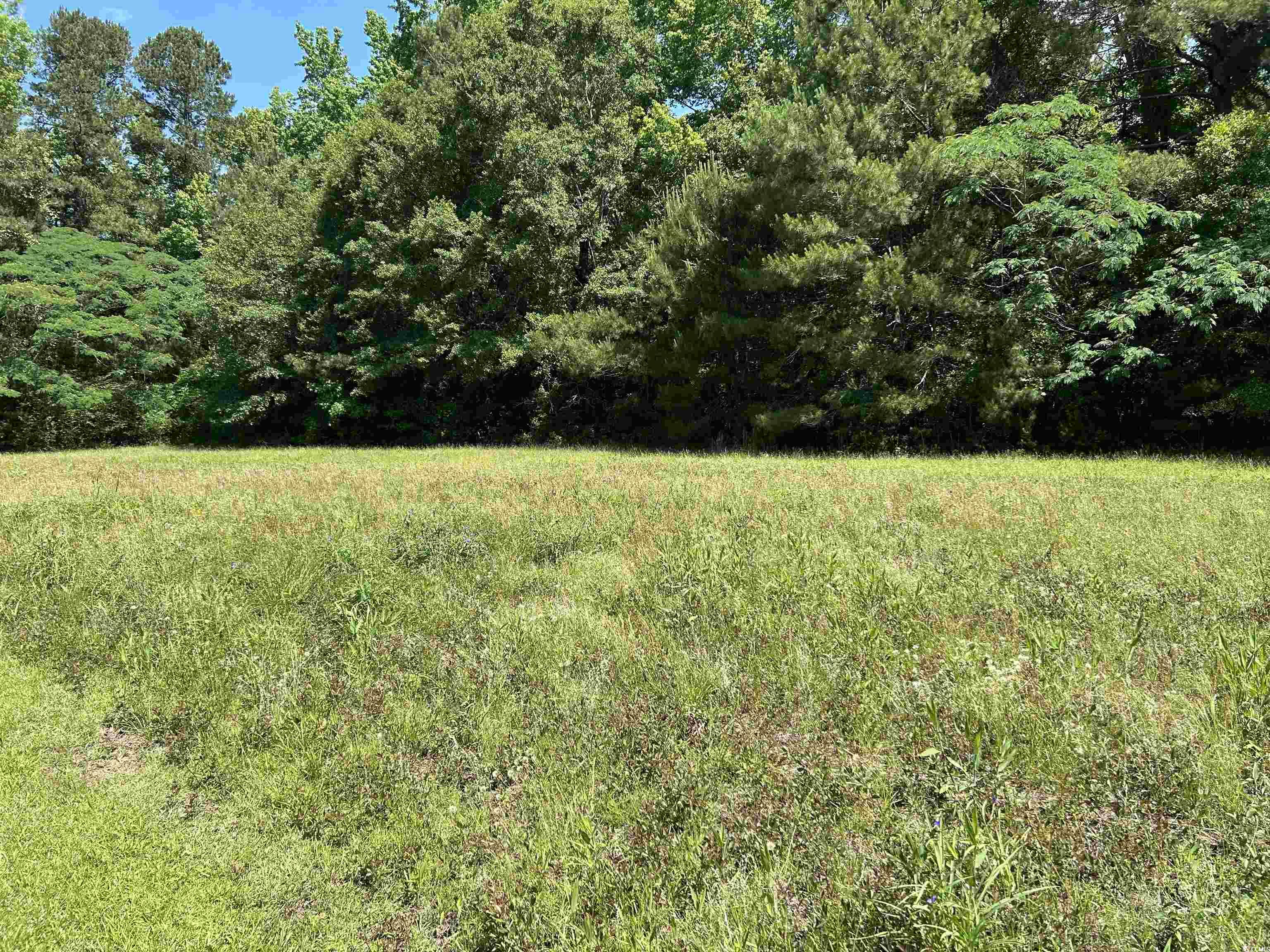 444 Davis Rd., Hemingway, South Carolina image 14