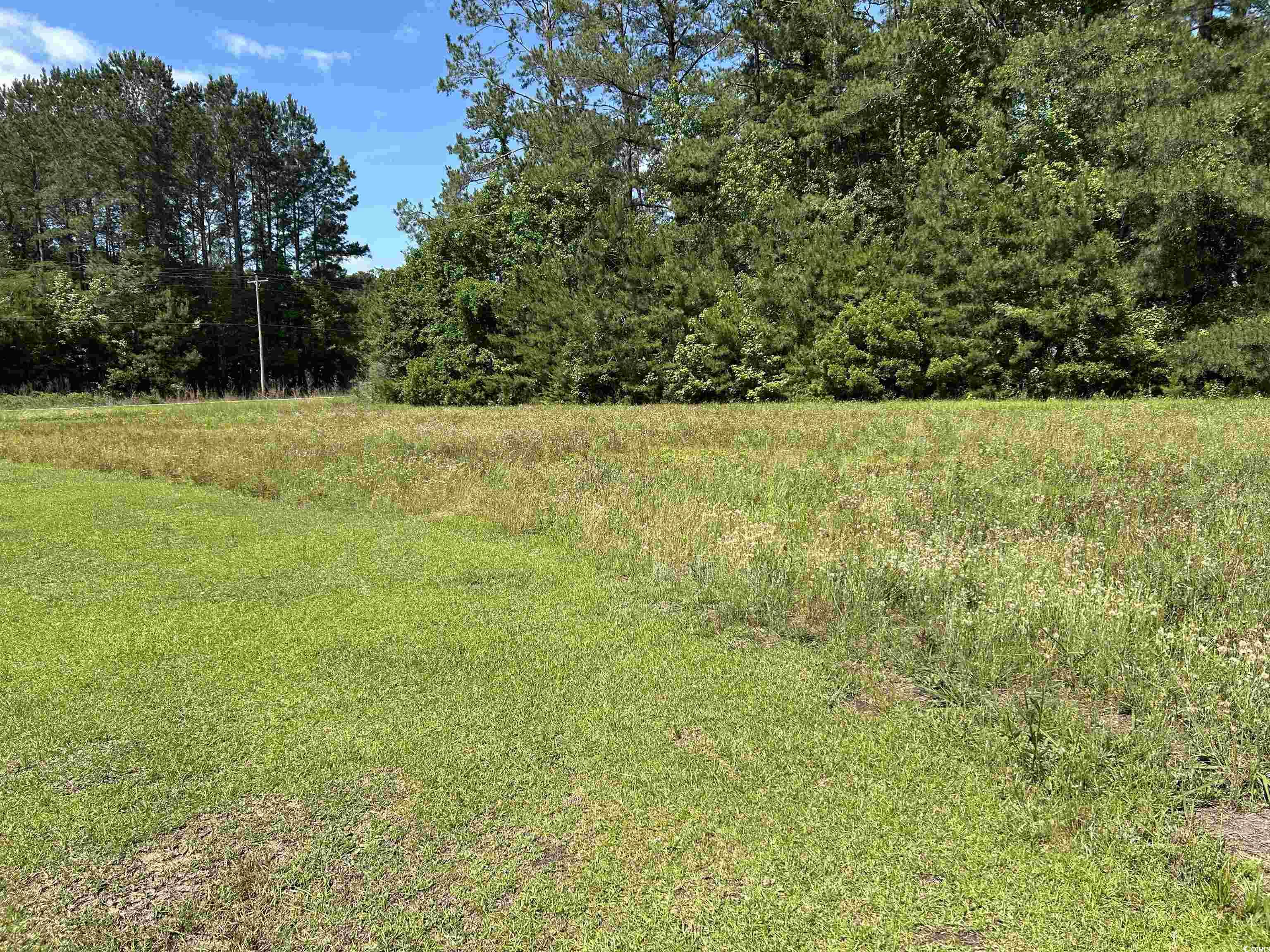 444 Davis Rd., Hemingway, South Carolina image 15