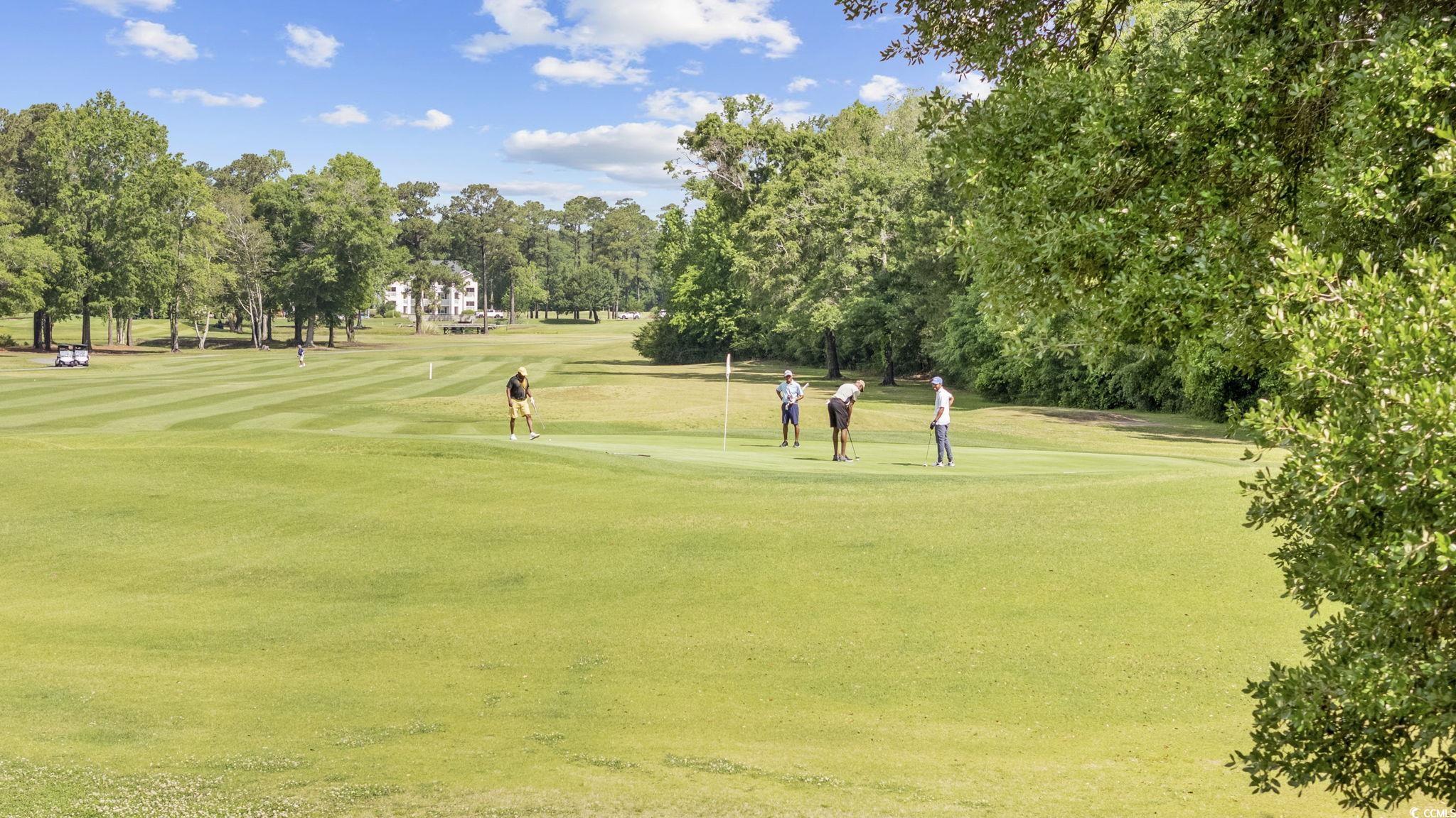 633 Waterway Village Blvd #11D, Myrtle Beach, South Carolina image 30