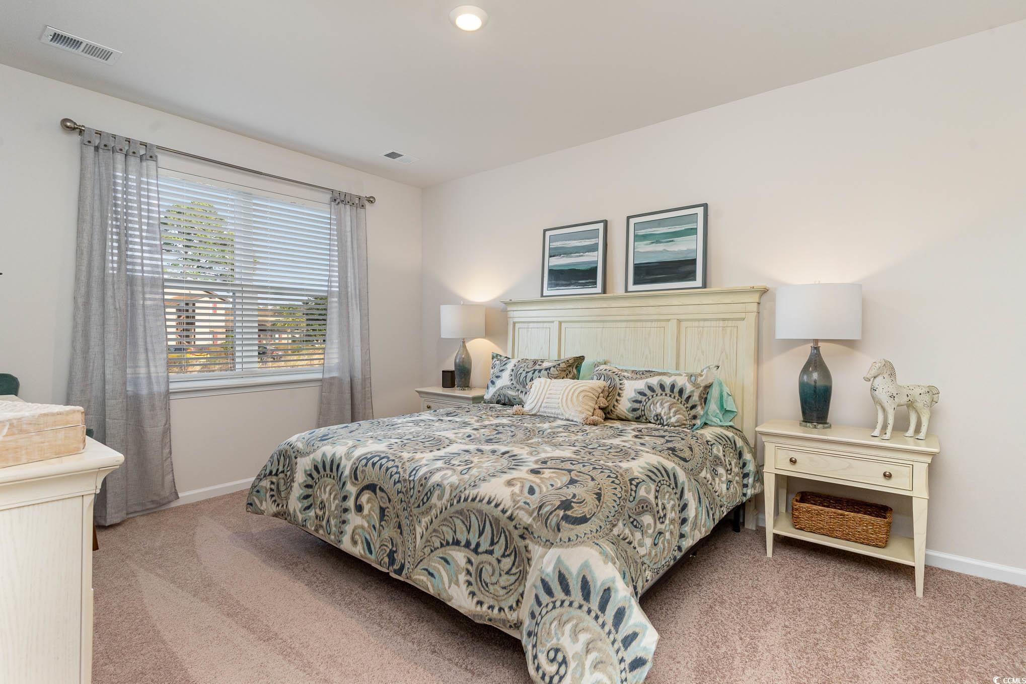 559 Strawberry Field Way, Galivants Ferry, South Carolina image 11