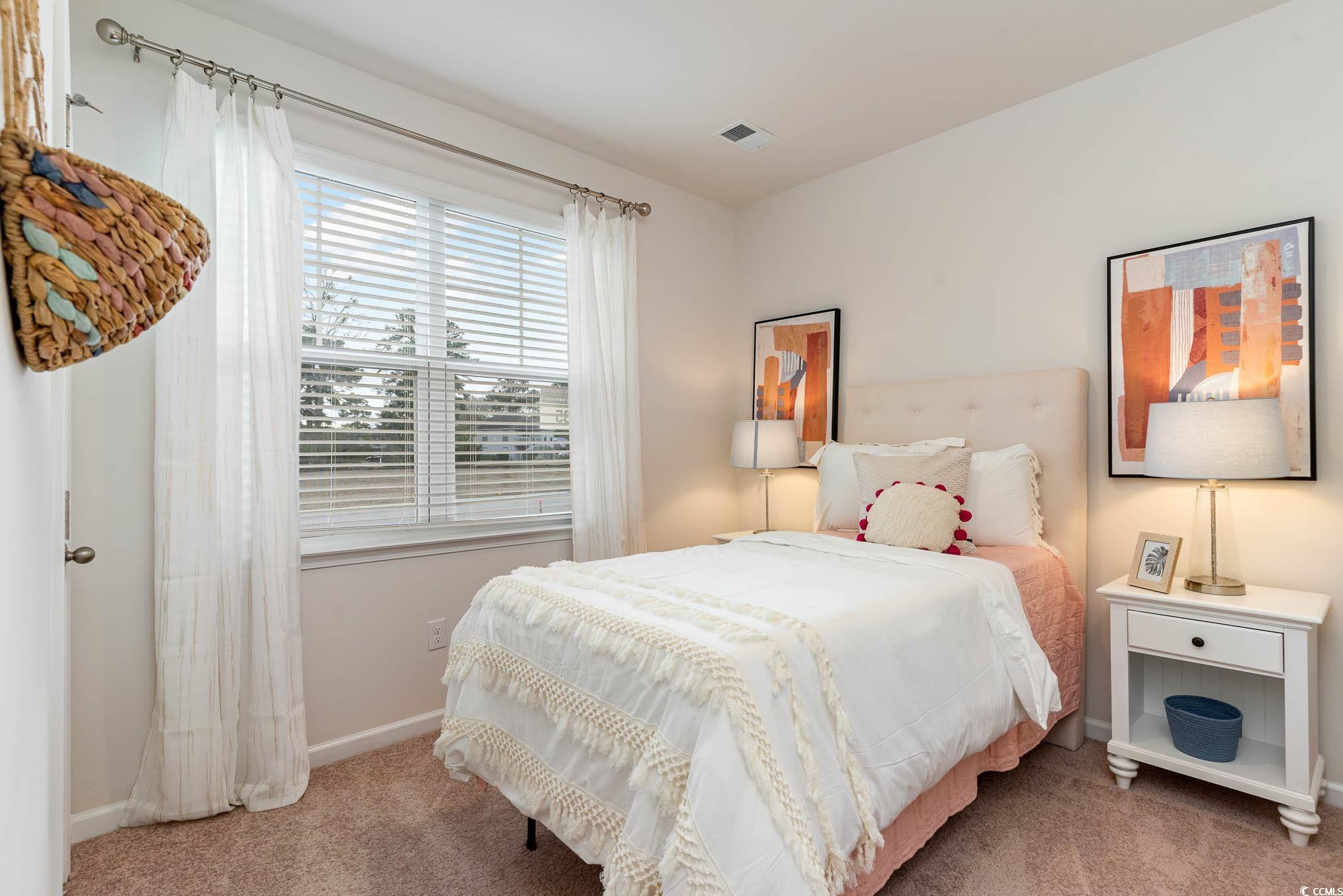559 Strawberry Field Way, Galivants Ferry, South Carolina image 15