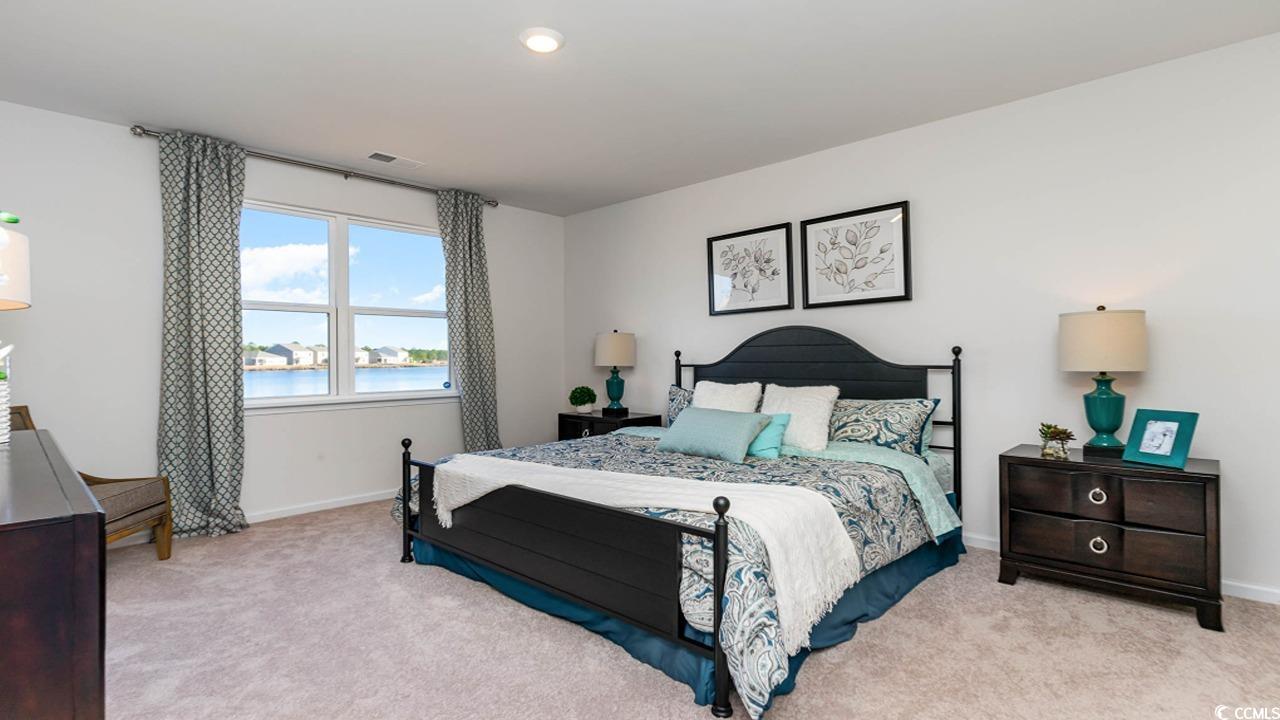 586 Strawberry Field Way, Galivants Ferry, South Carolina image 14