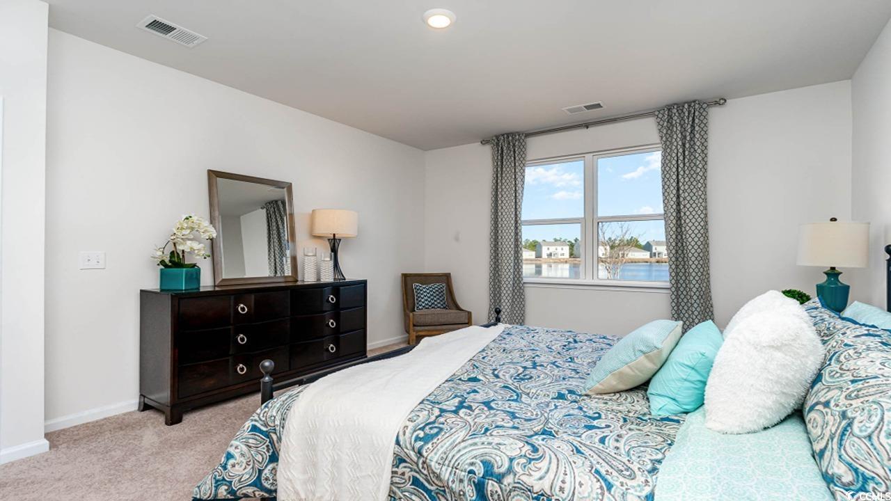 586 Strawberry Field Way, Galivants Ferry, South Carolina image 16