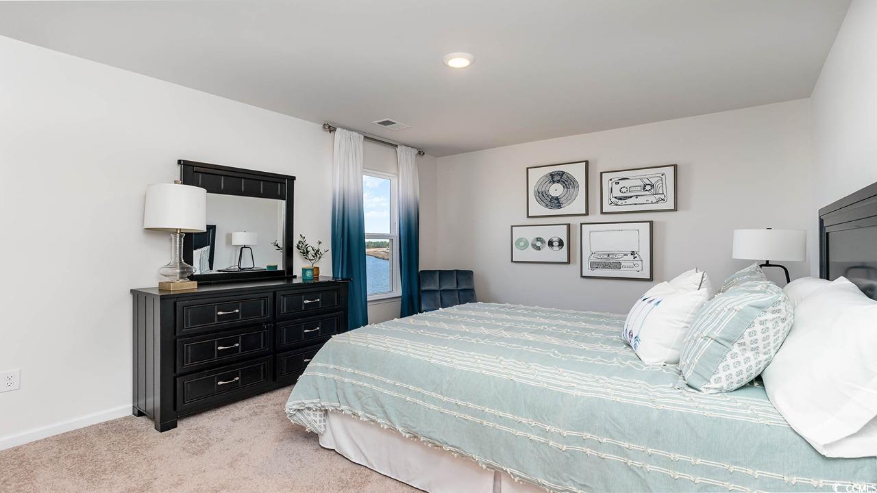 586 Strawberry Field Way, Galivants Ferry, South Carolina image 26